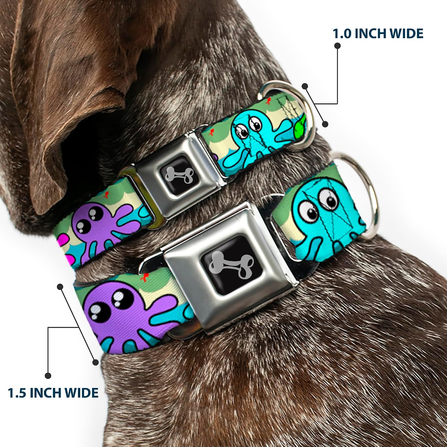 Buckle-Down Seatbelt Buckle Dog Collar - Octopus Cartoon - 1" Wide - Fits 11-17" Neck - Medium