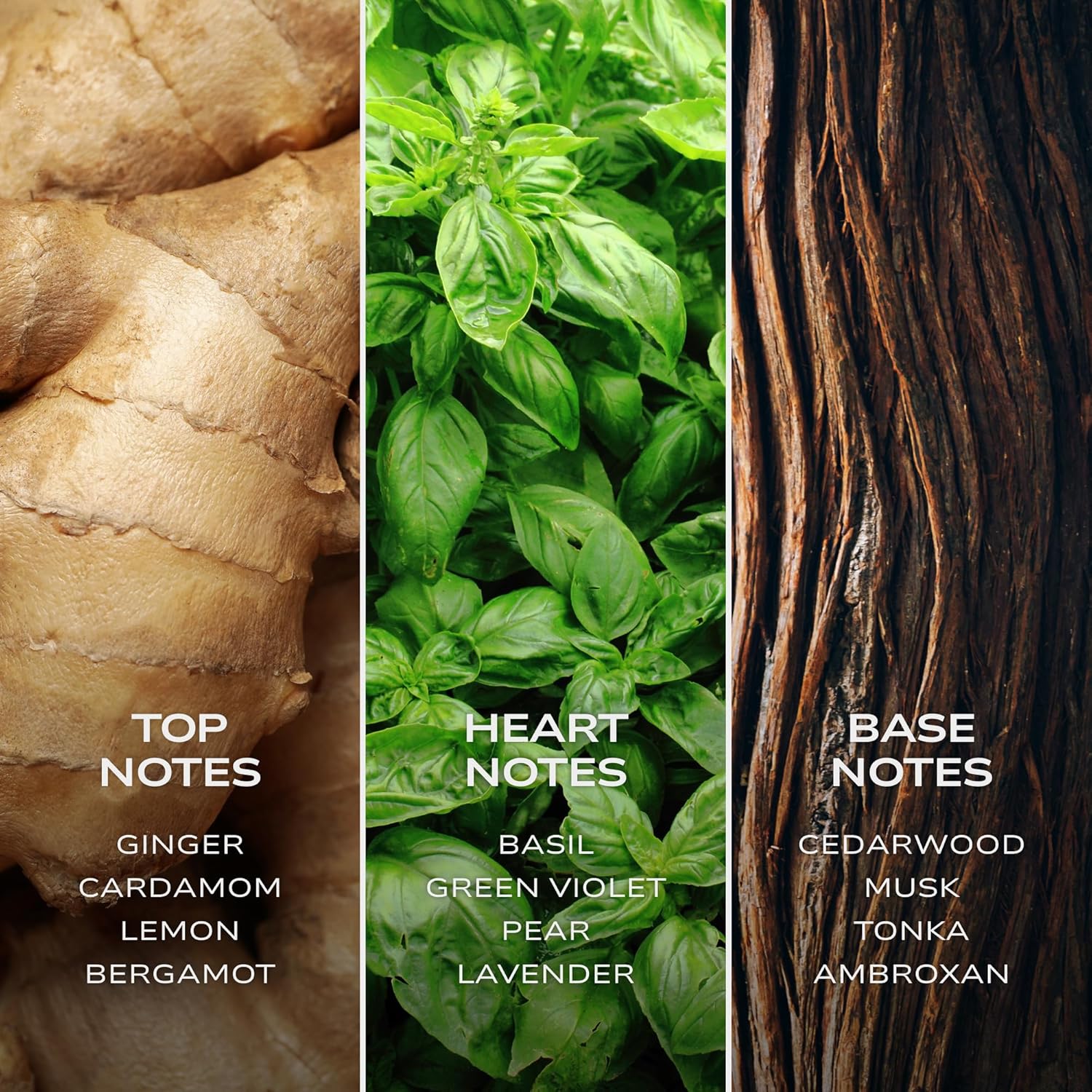 Intelligent Hydrogen Eau de Parfum | Cologne for Men | Fresh, Playful, and Elegant | 3.4 Fl Oz (100 mL) - Image 3