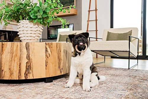 Miniatura 7 de Aro mordedor con sabor a calabaza para perros cachorros de N-Bone