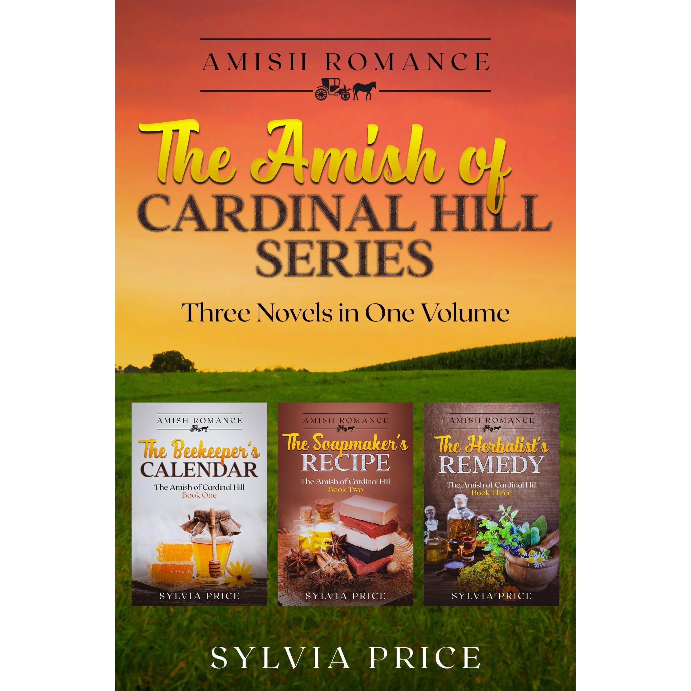 The Amish of Cardinal Hill Series