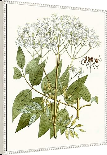 Miniatura 2 de Amanti Art Lienzo enmarcado para pared, 28 x 23 pulgadas, hojas de encaje V, lienzo enmarcado para pared, obras de arte de flores, decoración