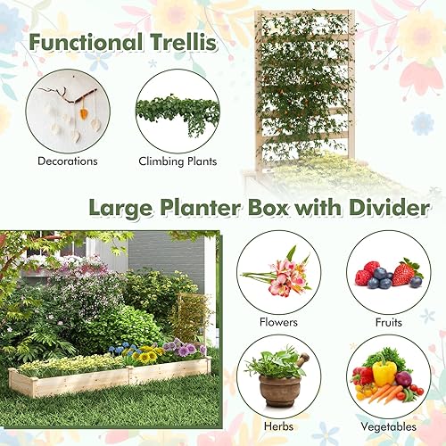 Miniatura 7 de HAPPYGRILL Cama de jardín elevada con enrejado, maceta de madera con espacio dividido para verduras, flores, frutas, plantas trepadoras, cama de