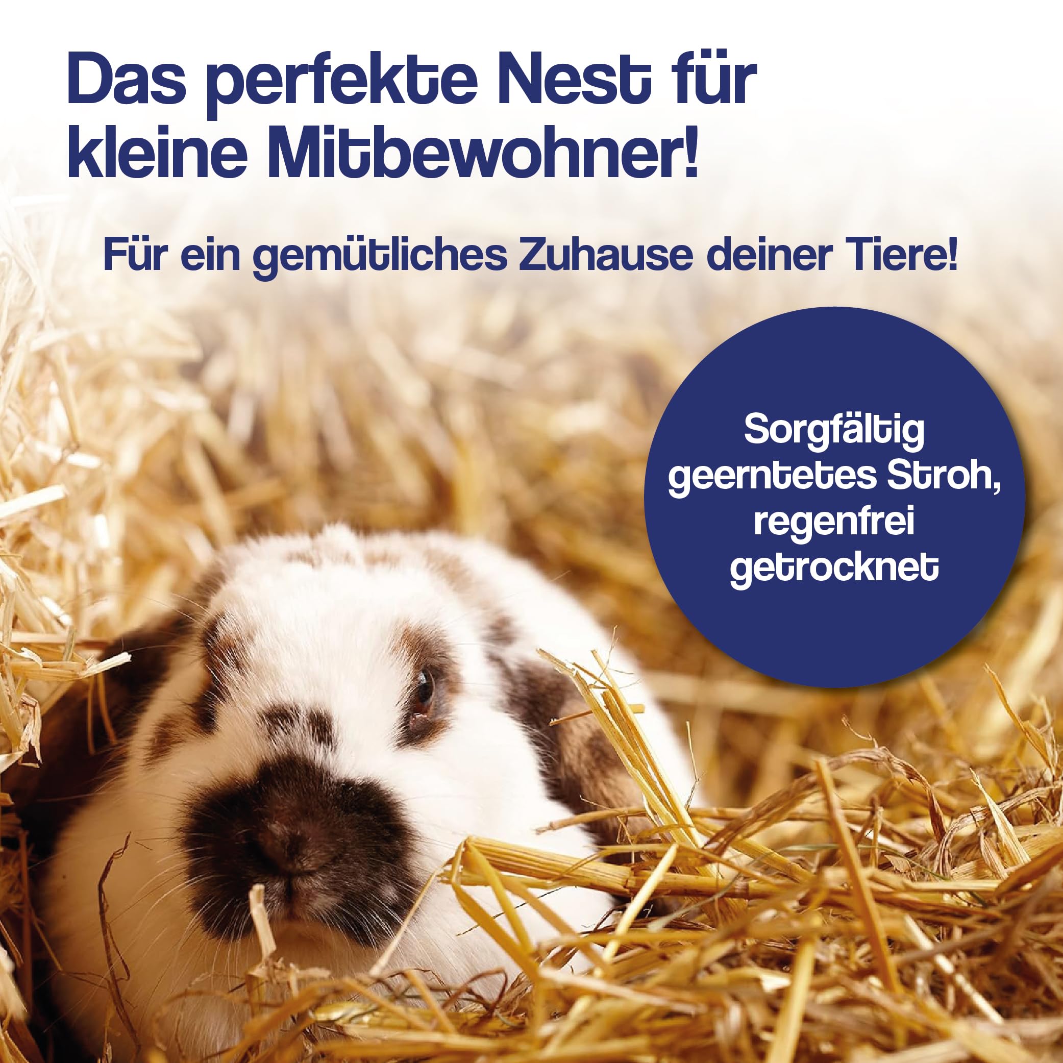10kg Strohballen - für Kaninchen, Meerschweinchen, Hamster und Hasen, auch geeignet als Deko-Stroh, Ballen Direkt aus Bayern