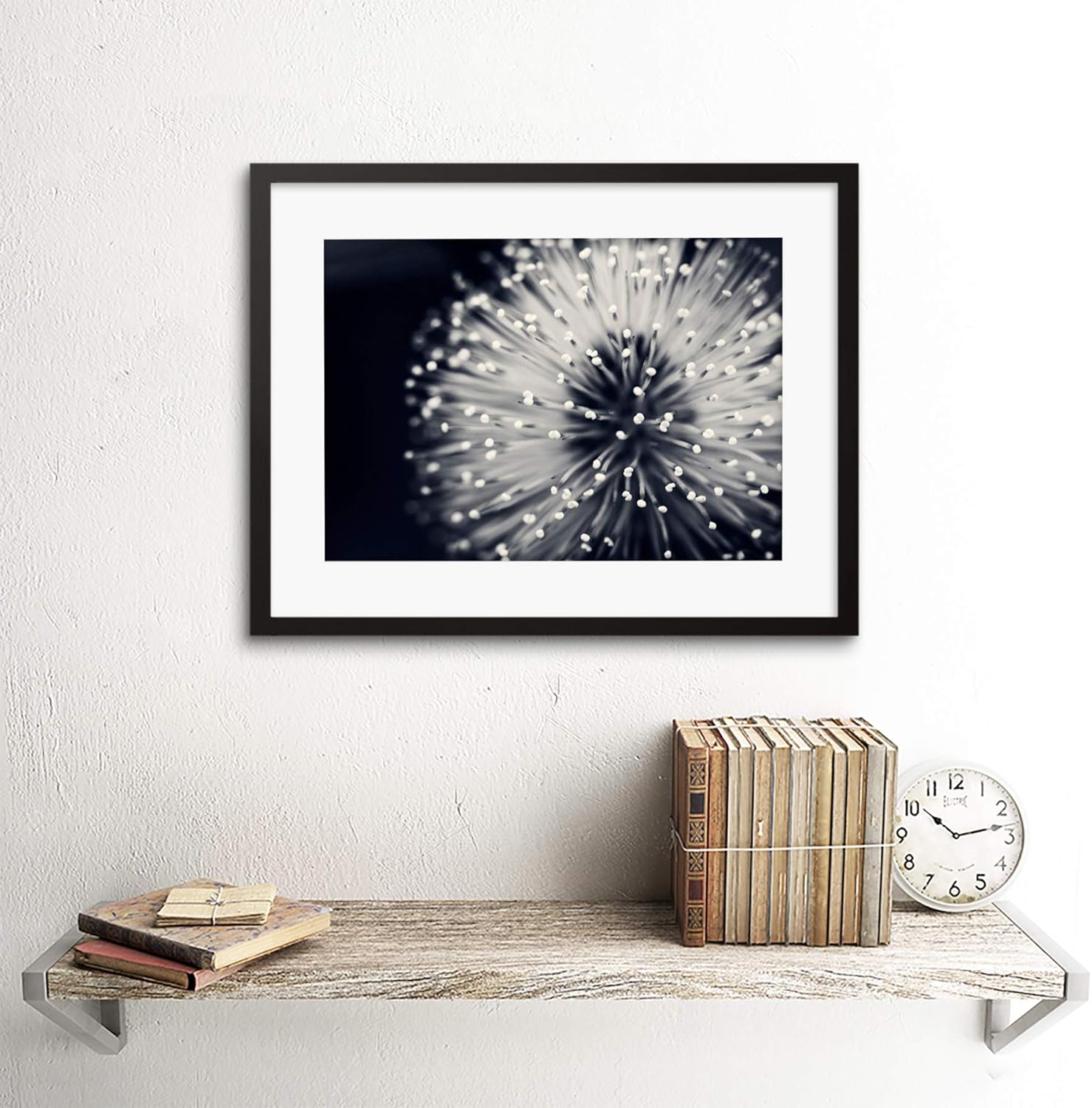 PHOTO NATURE PLANT FLOWER BLACK WHITE BEAUTIFUL HOME FRAMED PRINT F12X4247