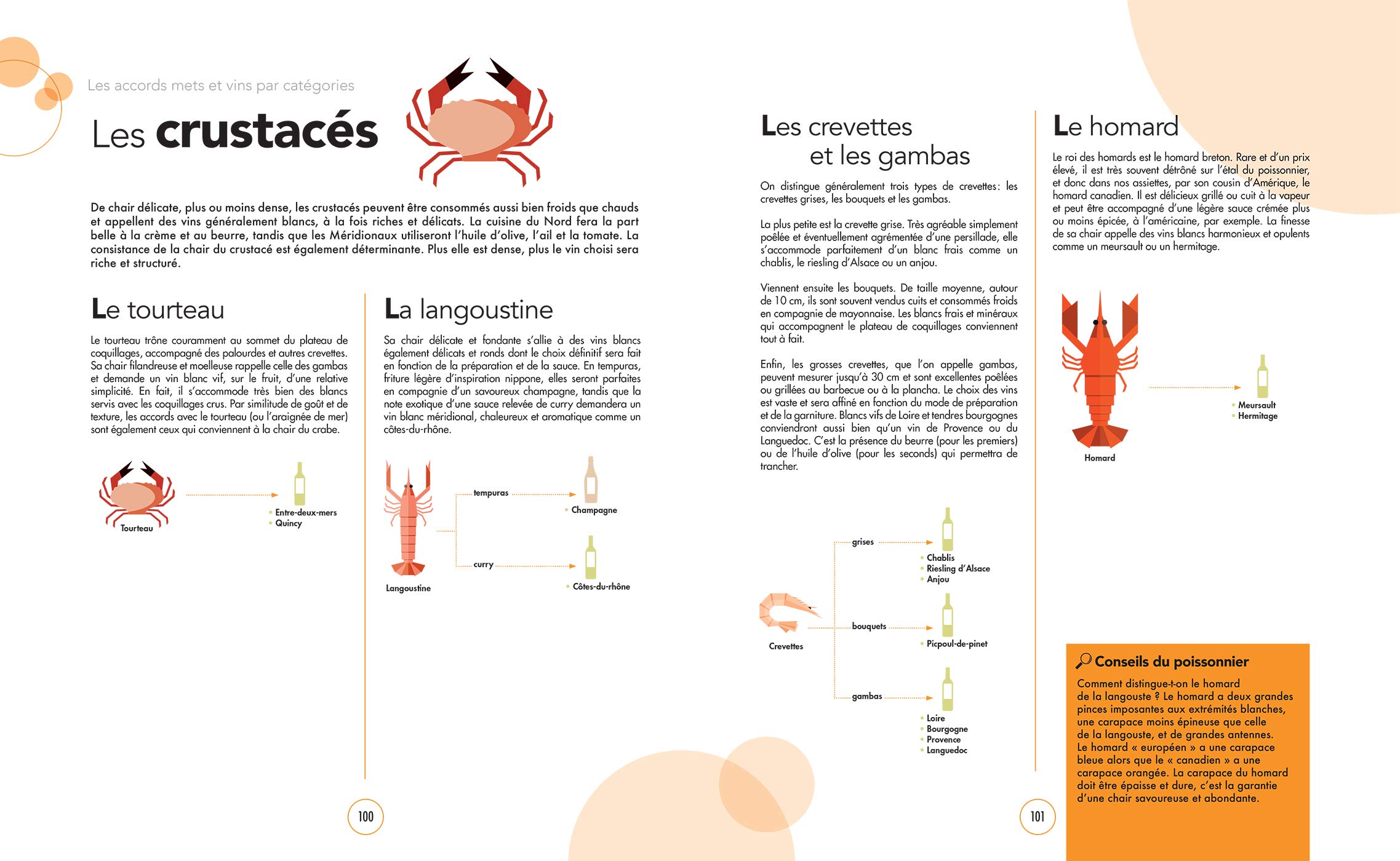 Le grand cours des accords mets et boissons: 100 leçons pour réaliser des accords gourmands comme un expert