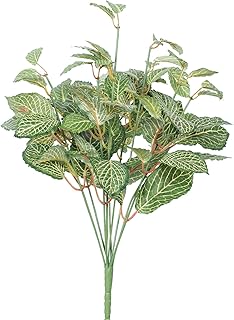 Vickerman Everyday 17