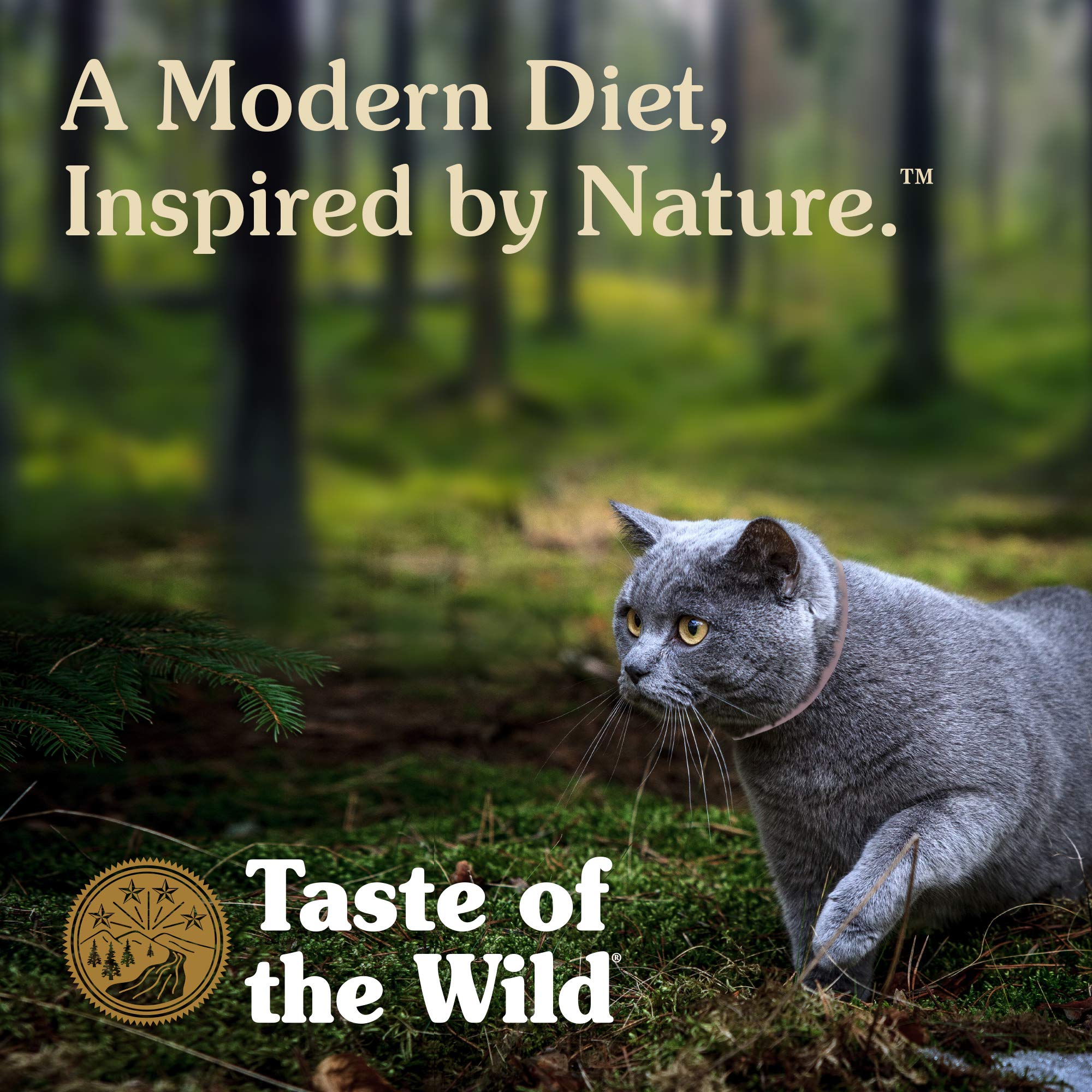 Buy Taste Of The Wild High Protein Real Meat Recipes Premium Dry Cat