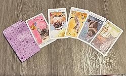 Review Image by BR BR