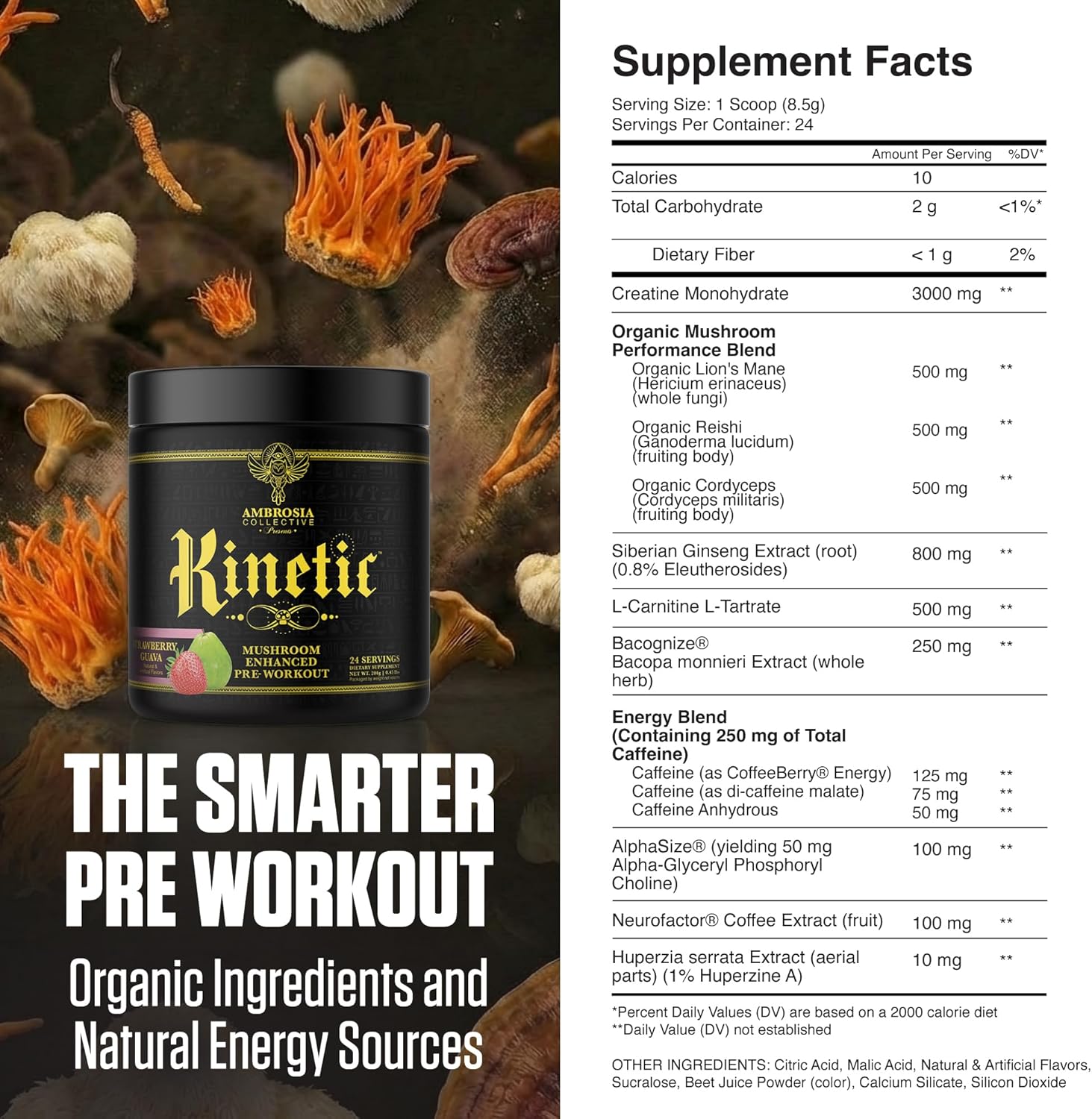 Ambrosia Kinetic - Organic Pre Workout Powder | Mushroom-Enhanced Natural Pre Workout | Nootropic Superfood Powder for Clean Energy, Focus, Recovery | 24 Servings | Strawberry Guava - Image 2