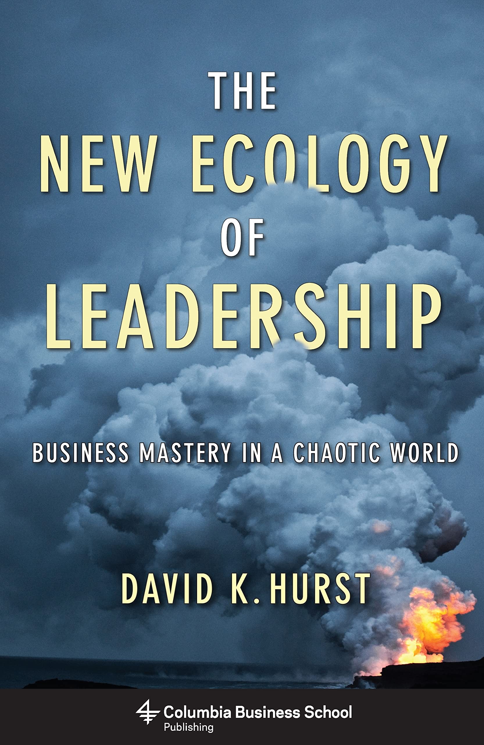 Buy The New Ecology of Leadership: Business Mastery in a Chaotic World — BookShops.in