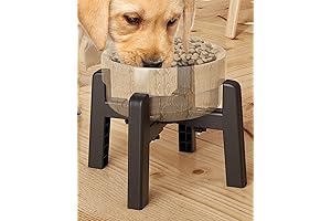 CZPET Dog Bowl Stand: The Elevated Dining Experience for Your Furry Friends