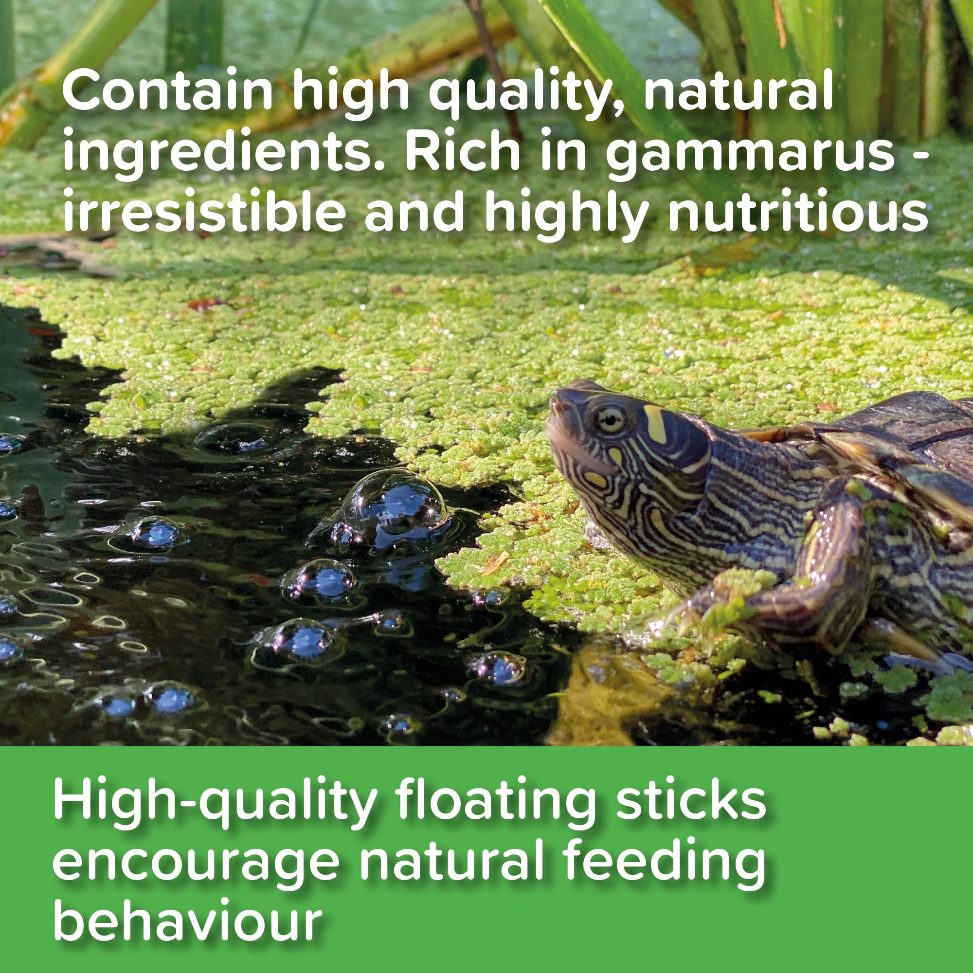 King British – Turtle & Terrapin Complete Food – 200g Tub – Rich in Vitamins & Minerals Natural Ingredients – Contains a Variety of Shrimp, Gammarus & Krill — view 13