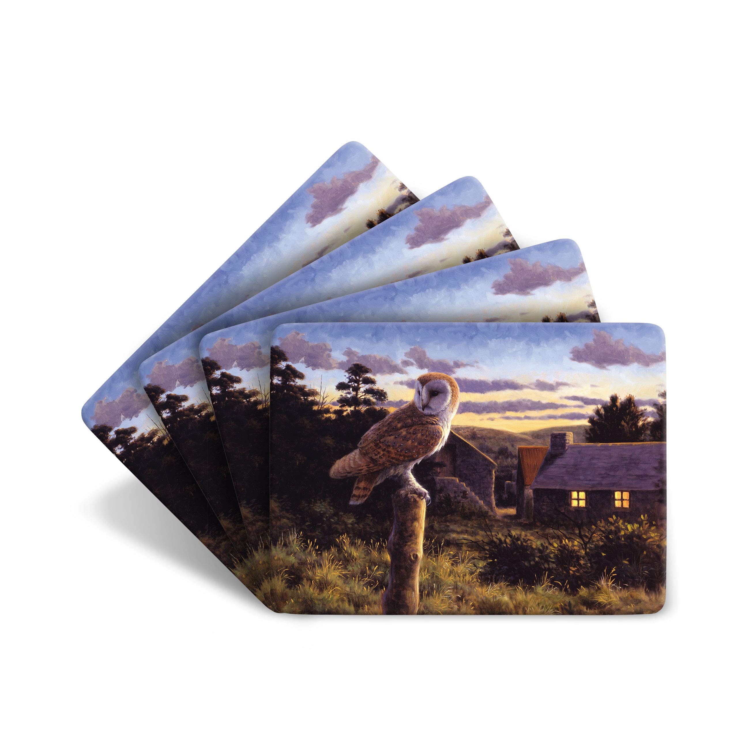 Julian Friers Barn Owl at Dusk Large Table Mats by Wildlife Artist Set of 4 - Non-slip - Cork-backed Placemat Set