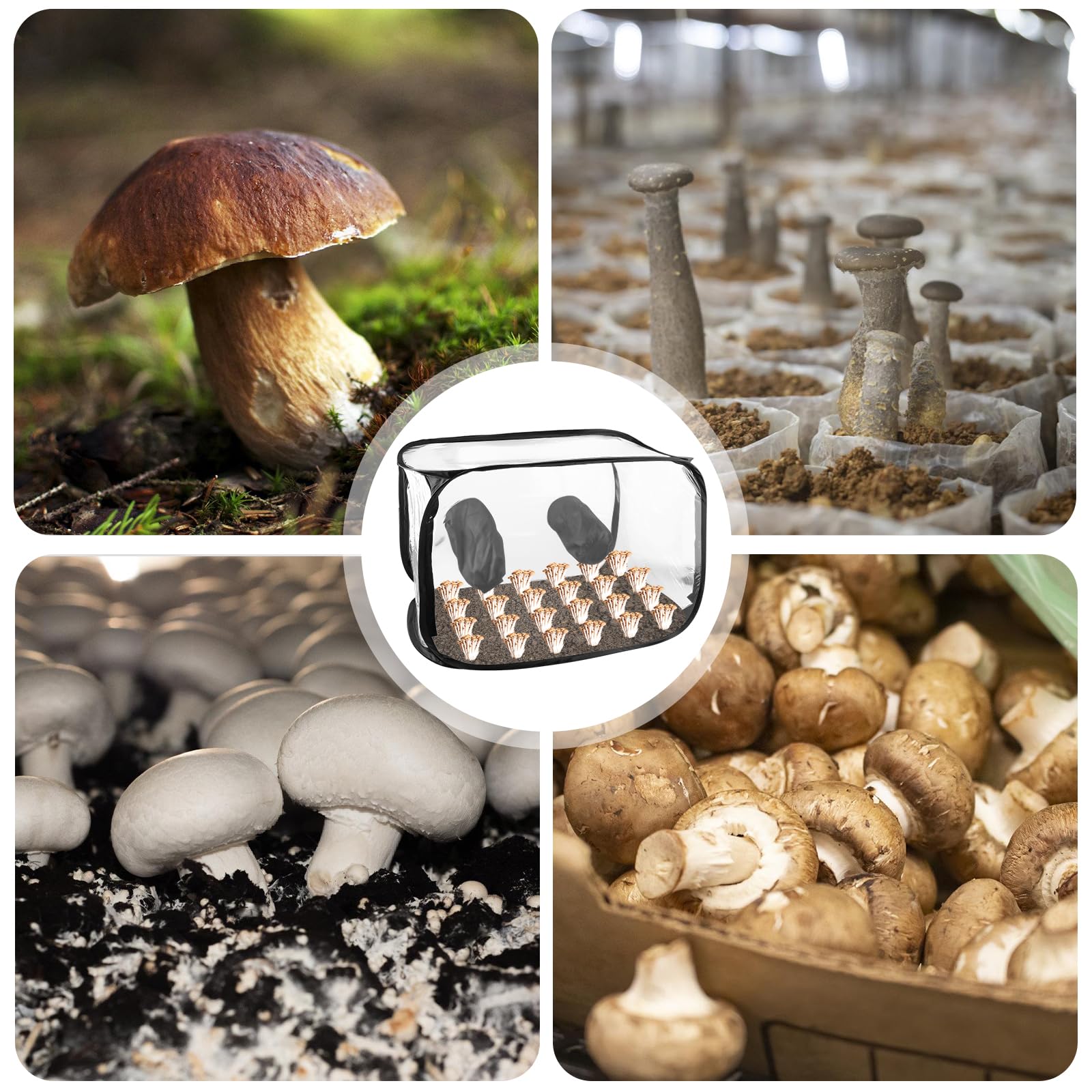 GOMETY Boîte à air d'allaitement pour champignons avec 2 ports de bras, 90 x 60 x 60 cm, compacte, sur pied, pliable, pour les amateurs de champignons