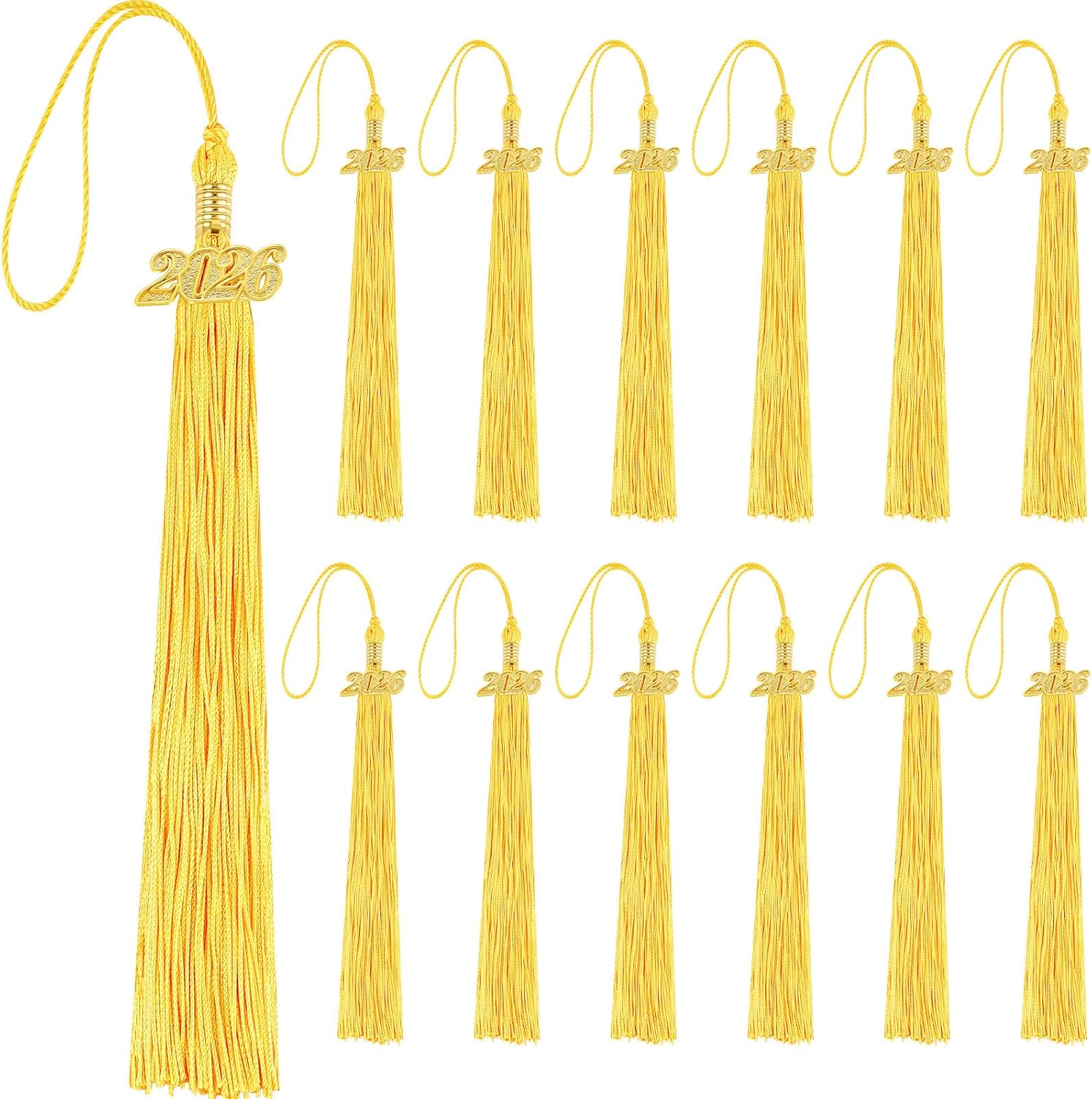 Dingion 12 Pcs Black 2026 Graduation Tassel Class of 2026 Cap Tassel with Gold Year Charm Graduation Cap Decoration for High School College Senior Ceremony Accessories