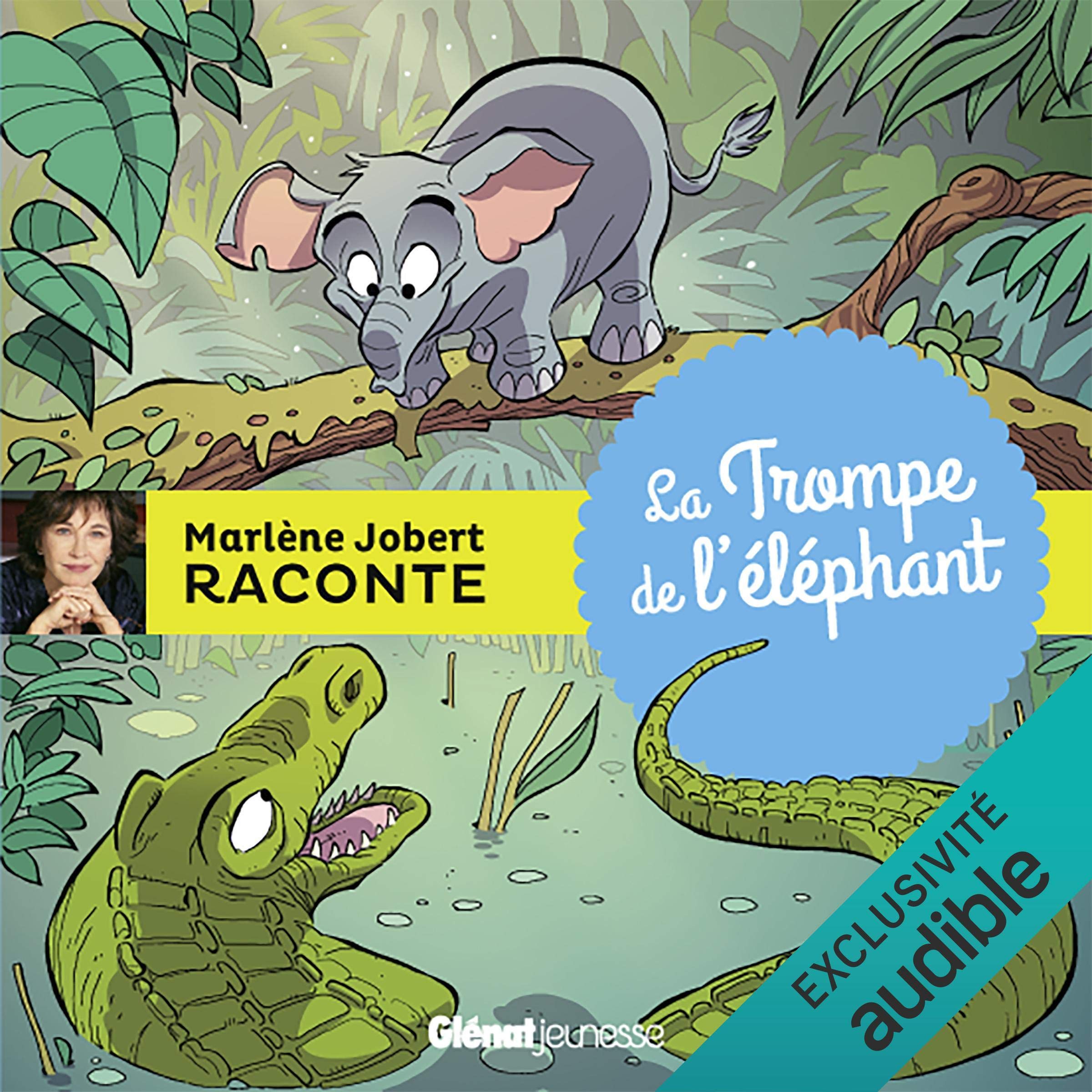 Cover art for La Trompe de l'éléphant