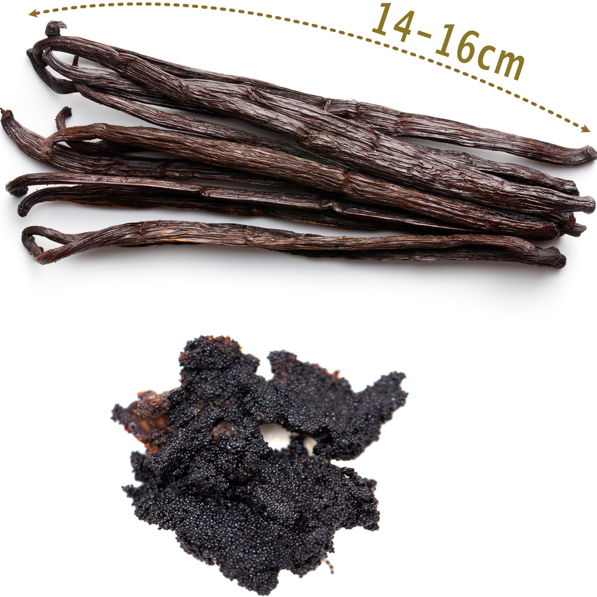 15 Gousses de Vanille Bourbon BIO de Madagascar • GRAND CRU • FreshZIP