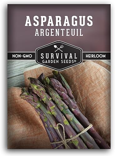 Miniatura 1 de Argenteuil - Semillas de espárragos morados para plantar, 1 paquete con instrucciones para plantar y cultivar espárragos franceses gourmet en tu