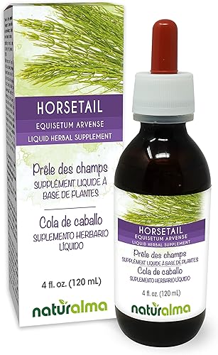 Hierba de cola de caballo (Equisetum arvense) tintura sin alcohol Naturalma  Extracto líquido de 4 onzas líquidas en gotas  Suplemento de hierbas