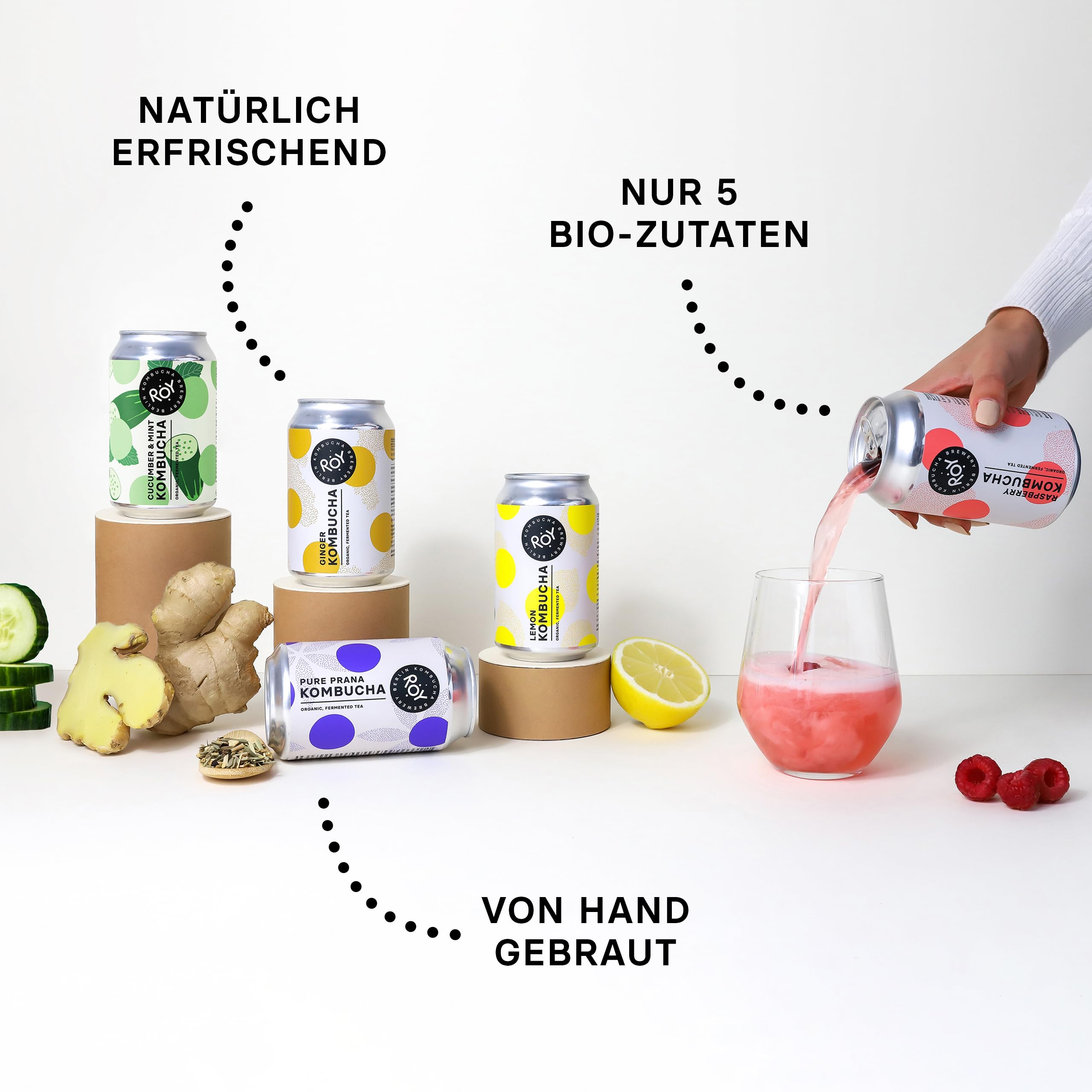 ROY Probierpaket Kombucha Bio mit 5 Sorten, 6 Dosen à 330 ml Bio Kombucha, handgefertigt in unserer Berliner Brauerei, vegan, glutenfrei, laktosefrei, 6er Pack, inkl. 1,50€ Pfand