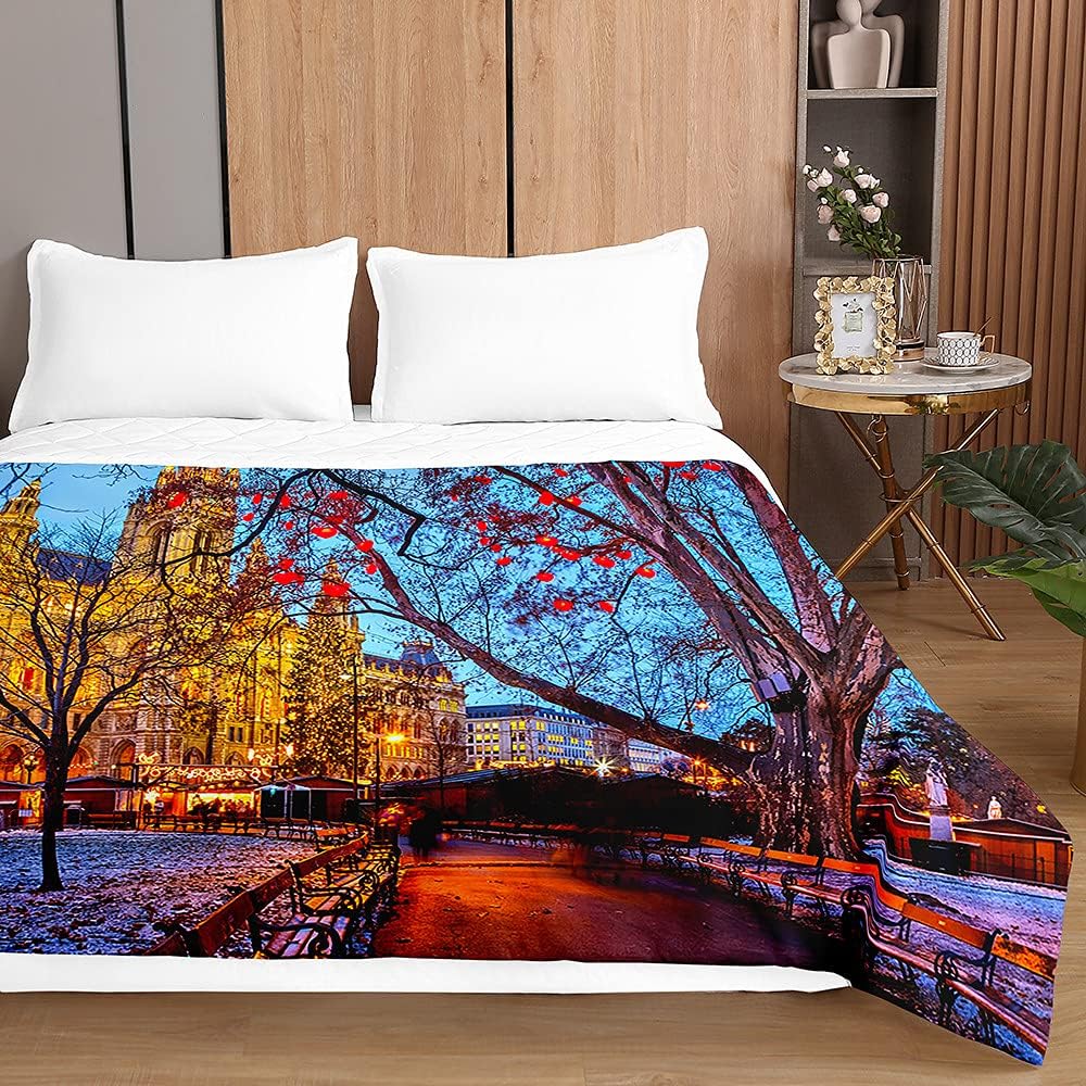 Embossed Quilted Bedspreads Single Double Super King Bed, 3D Landscape Bedspread Quilt Bed Throws Blanket Lightweight Coverlet Microfiber All Season Comforter (Vienna city,200x230cm)