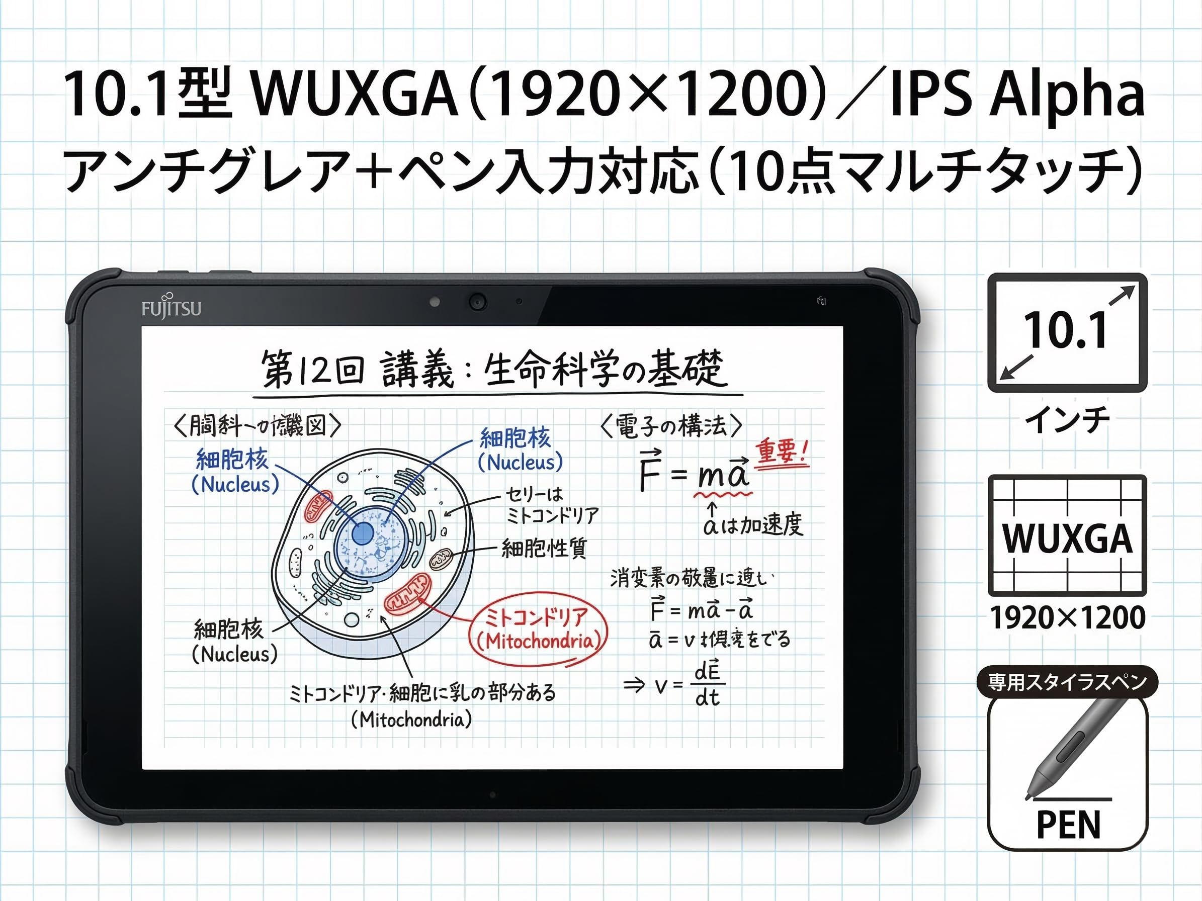 Amazon.co.jp: 【整備済み品】富士通 ARROWS Tab Q5010/DE 10.1インチ