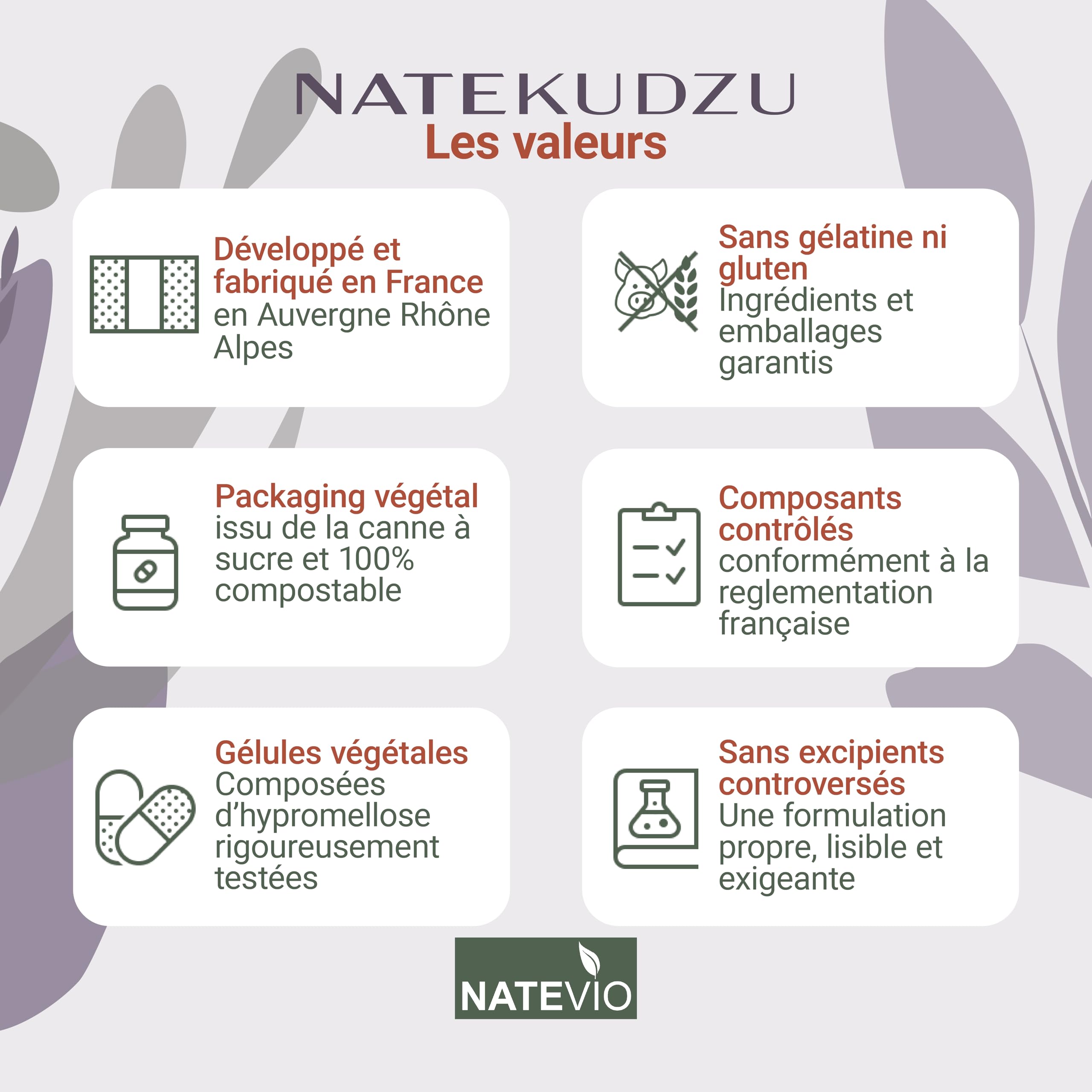 NATEKUDZU - 120 gélules - Complexe Renforcé 8 actifs (Kudzu - Zinc - Magnésium - Selenium - Vit B1 B6 B9 B12) Sevrage efficace - Complément alimentaire stress - Fabriqué en France