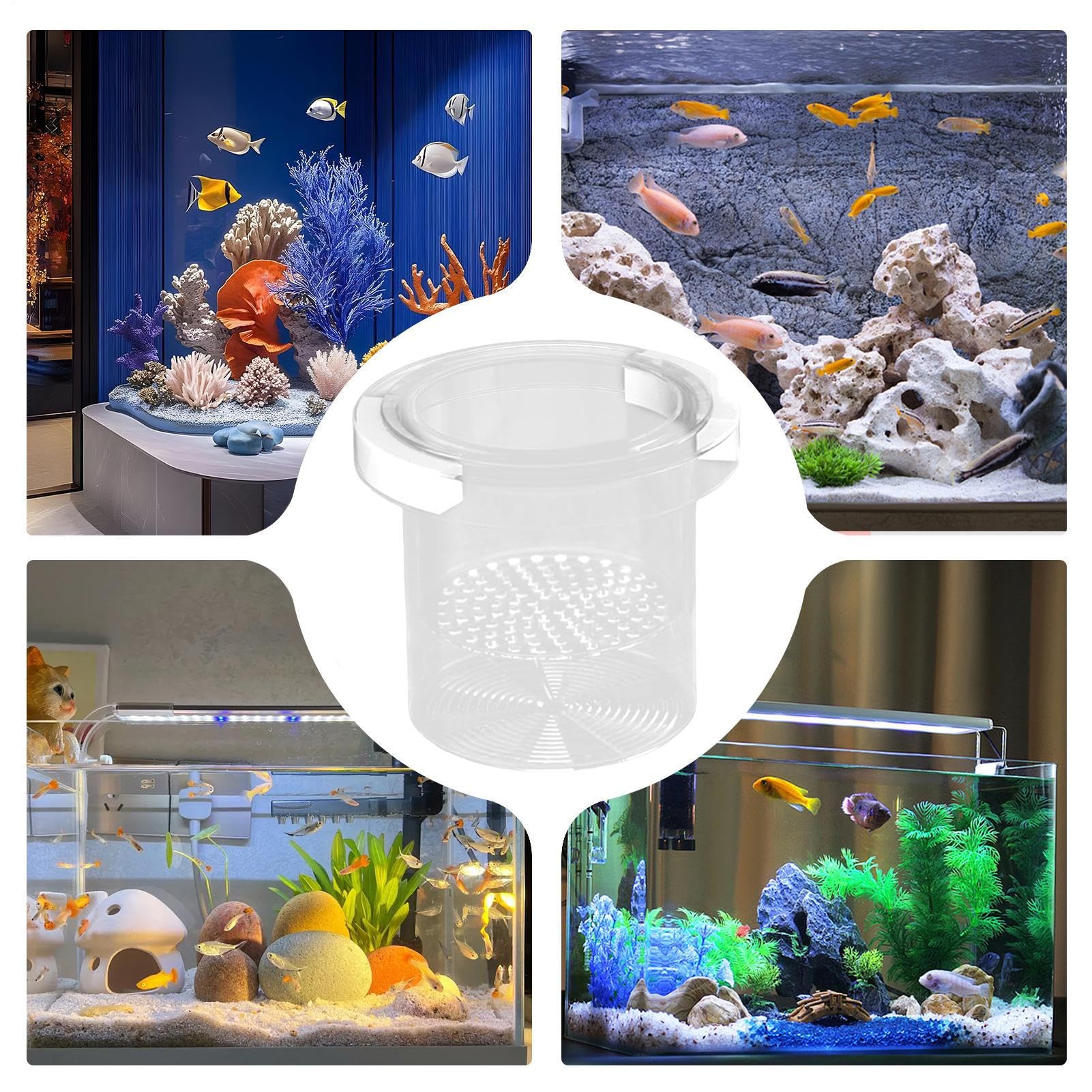 Scatola per allevamento di pesci per acquario, separatore di pesci per acquario, divisore sicuro per vivaio di acclimatazione Guppy gamberetti Betta Fry Hatchery