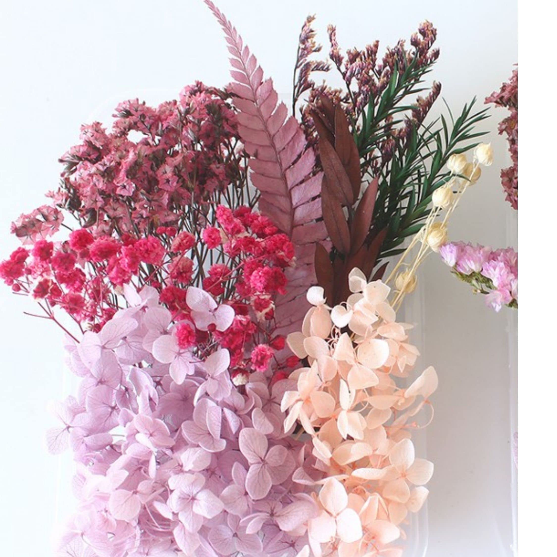 iKalaa Preserved Dried Flowers | Resin Art |Nail Art | Jewelry | Candle Making | Craft & DIY Accessories, pink and purple