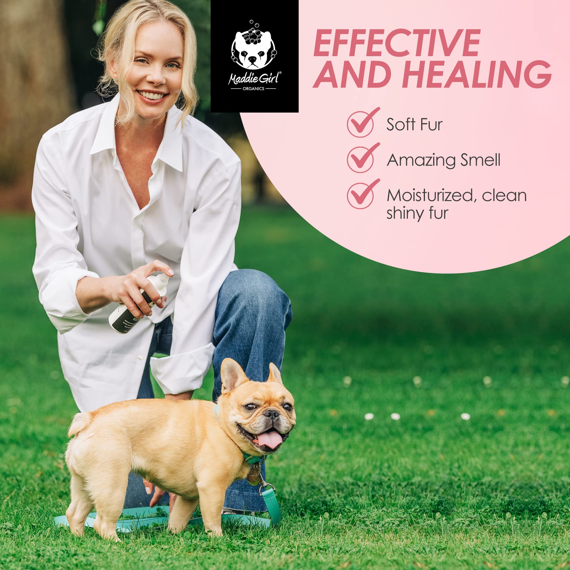 Why Does My Dog Smell So Good After Getting Groomed