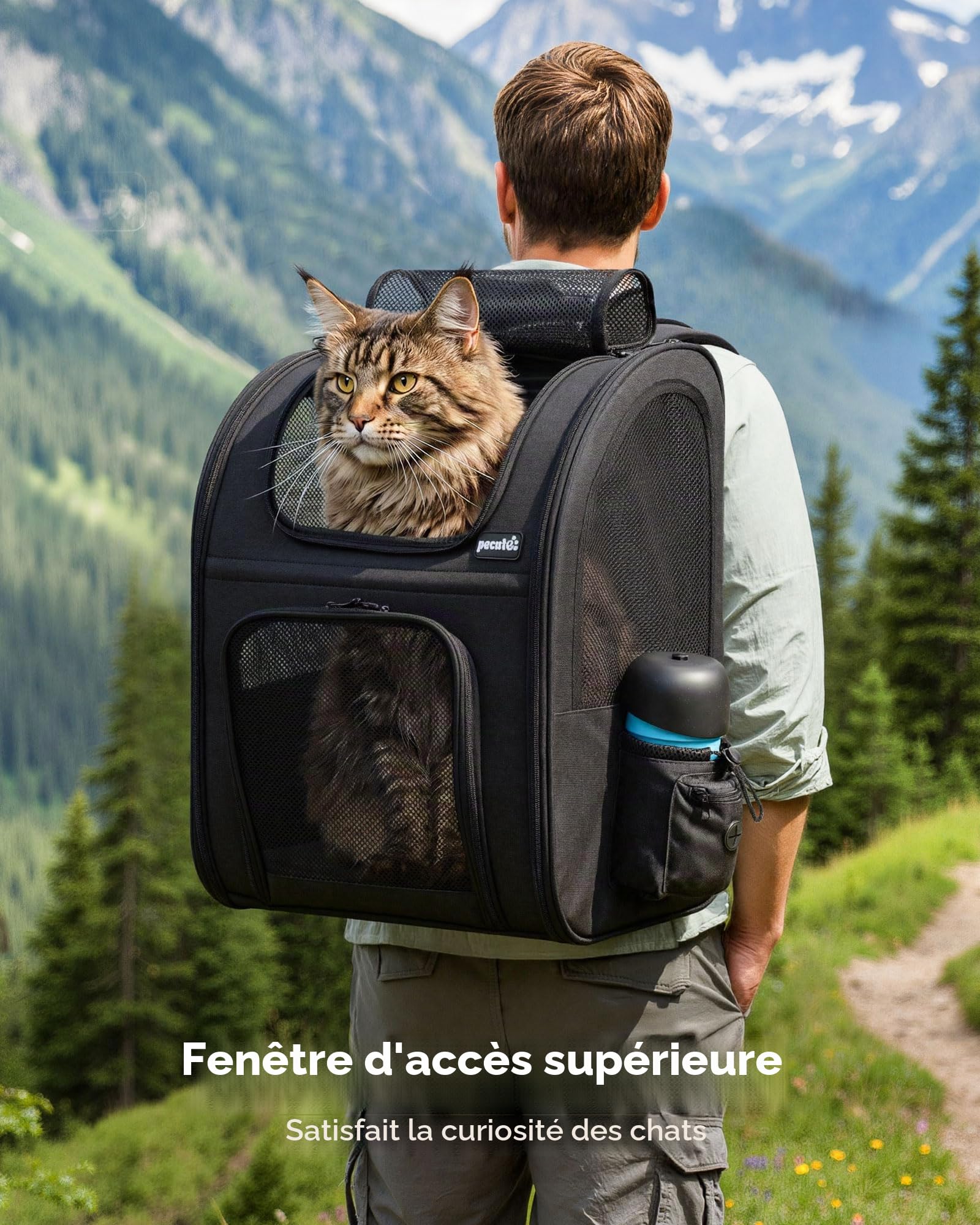 pecute Sac à Dos Chat Chien Respirant Grand, Sac Transport Chat, Noir | Confortable Sac Transport pour Chien , Stable Sac à dos Chien avec Laisse de Sécurité Intérieure et Tapis pour Voyage