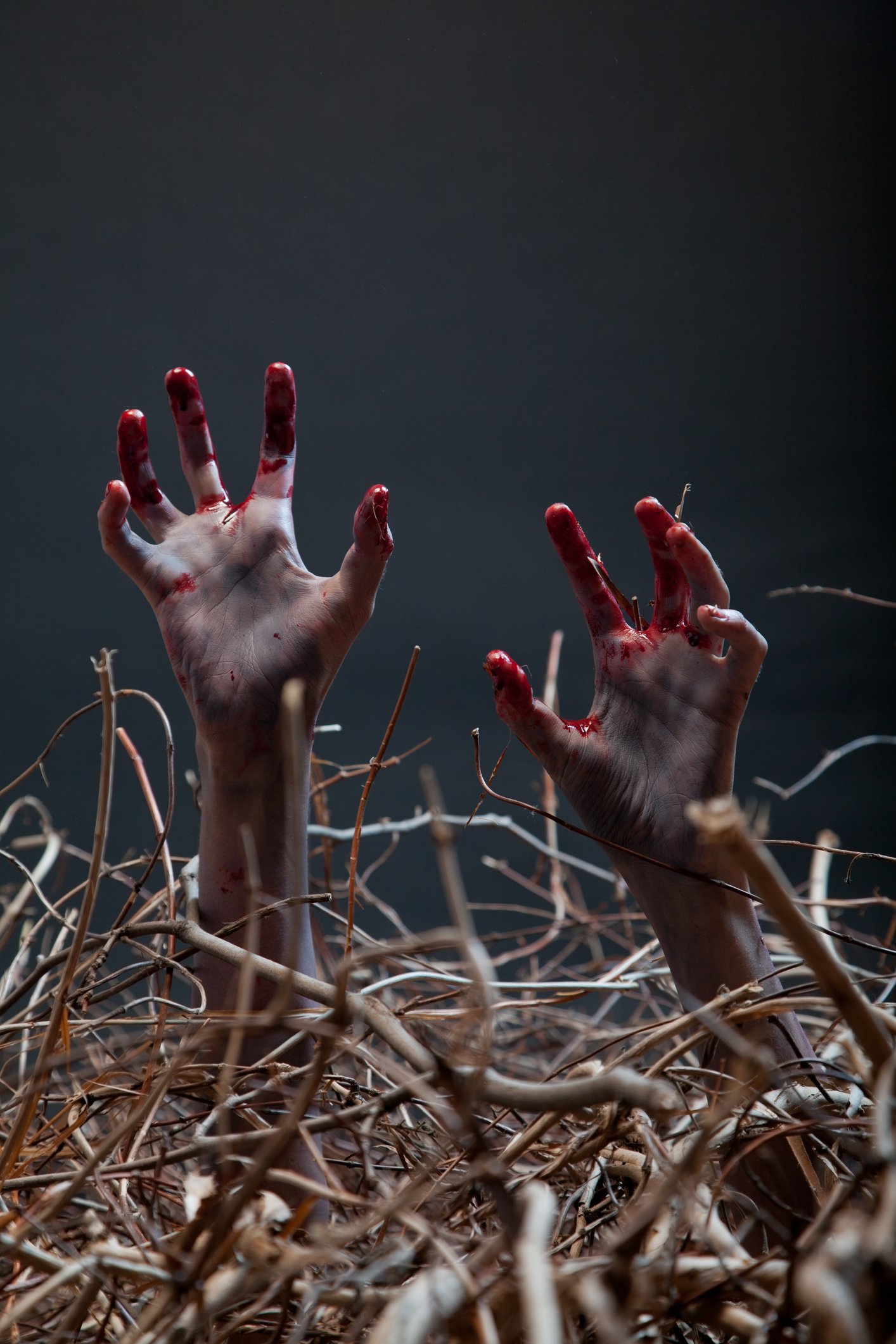 Cover of Bringing Back the Dead