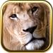 African Animals Safari Jigsaw Puzzle Games