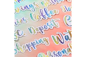 34 Pieces Lilo and Stitch Cash Envelope Planner Stickers and Decals