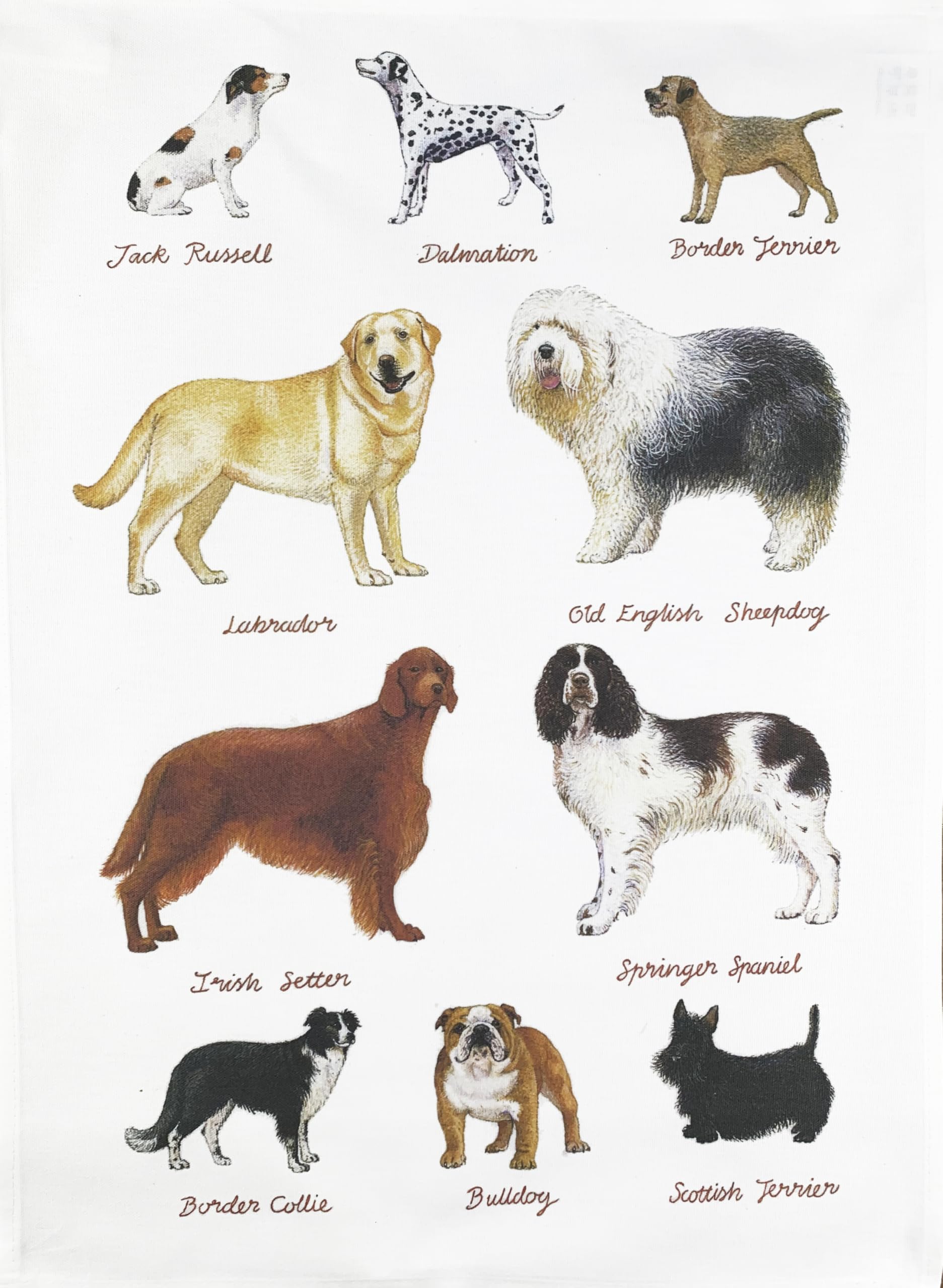 Half A Donkey White Hand Drawn Classic Dog Breeds Large Cotton Tea Towel