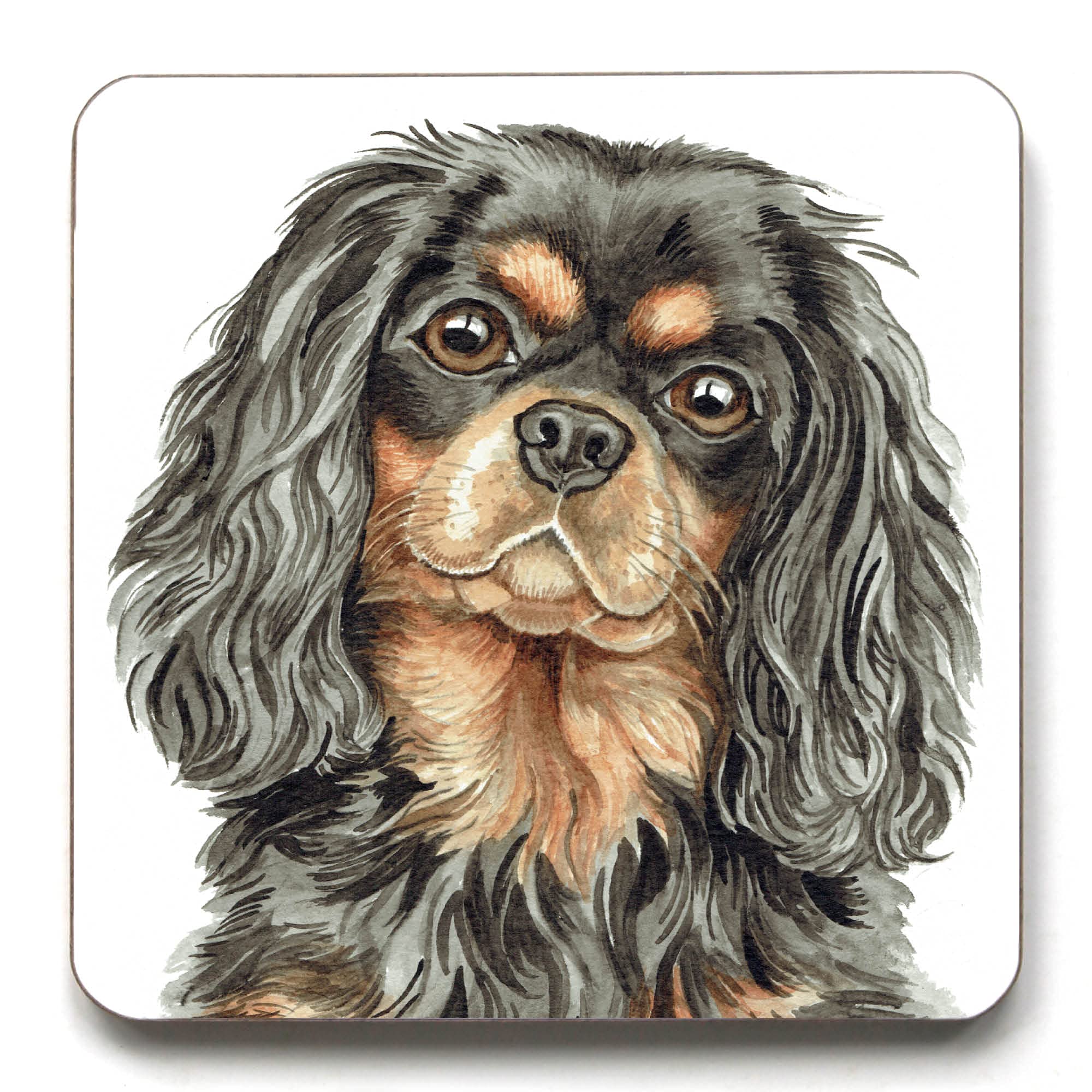 Tri Black And Tan Cavalier King Charles Spaniel Dog Breed Coaster (CST-259)
