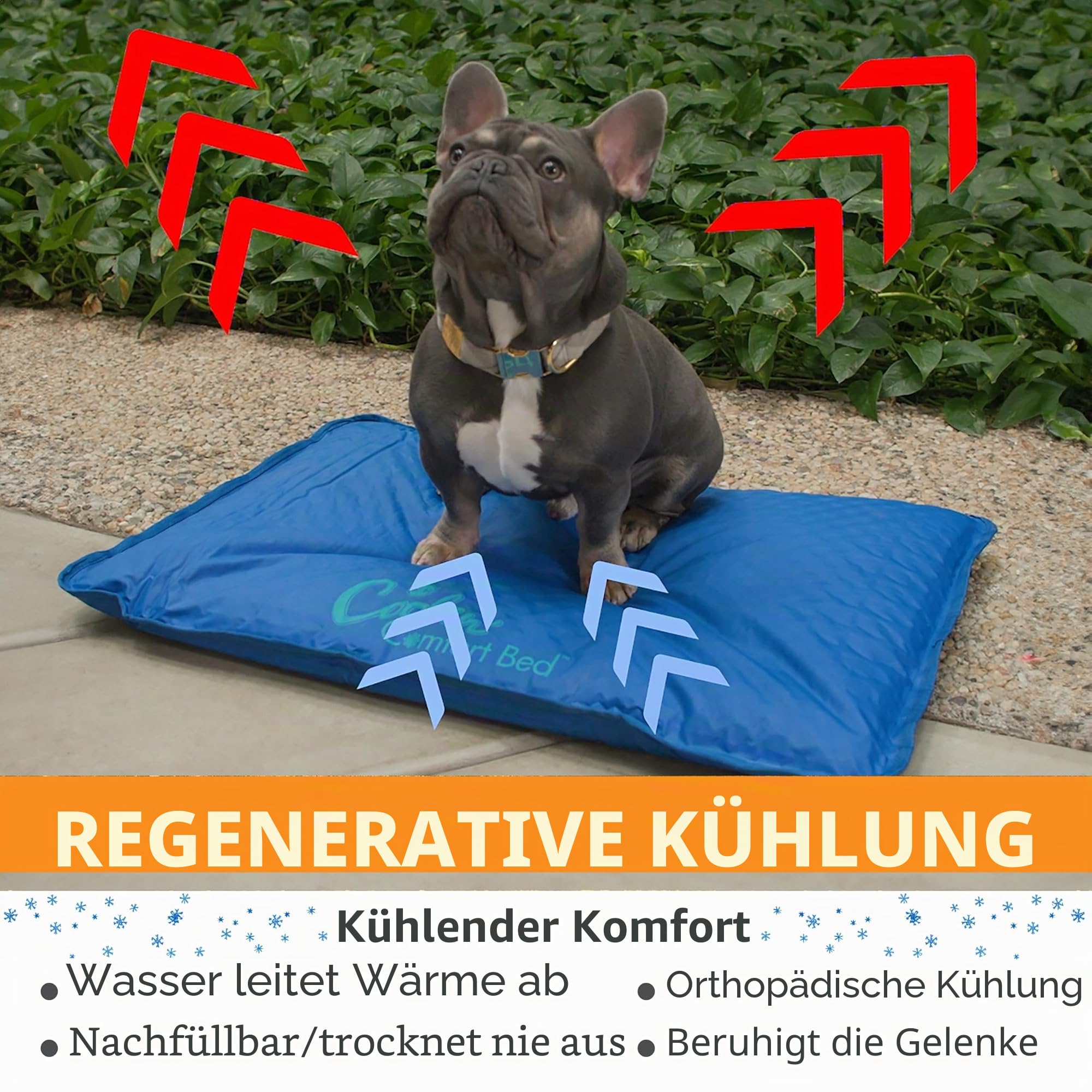 K&H 771790 Pet, kühlendes Hunde- und Katzenbett - Blau - groß, L, Blue