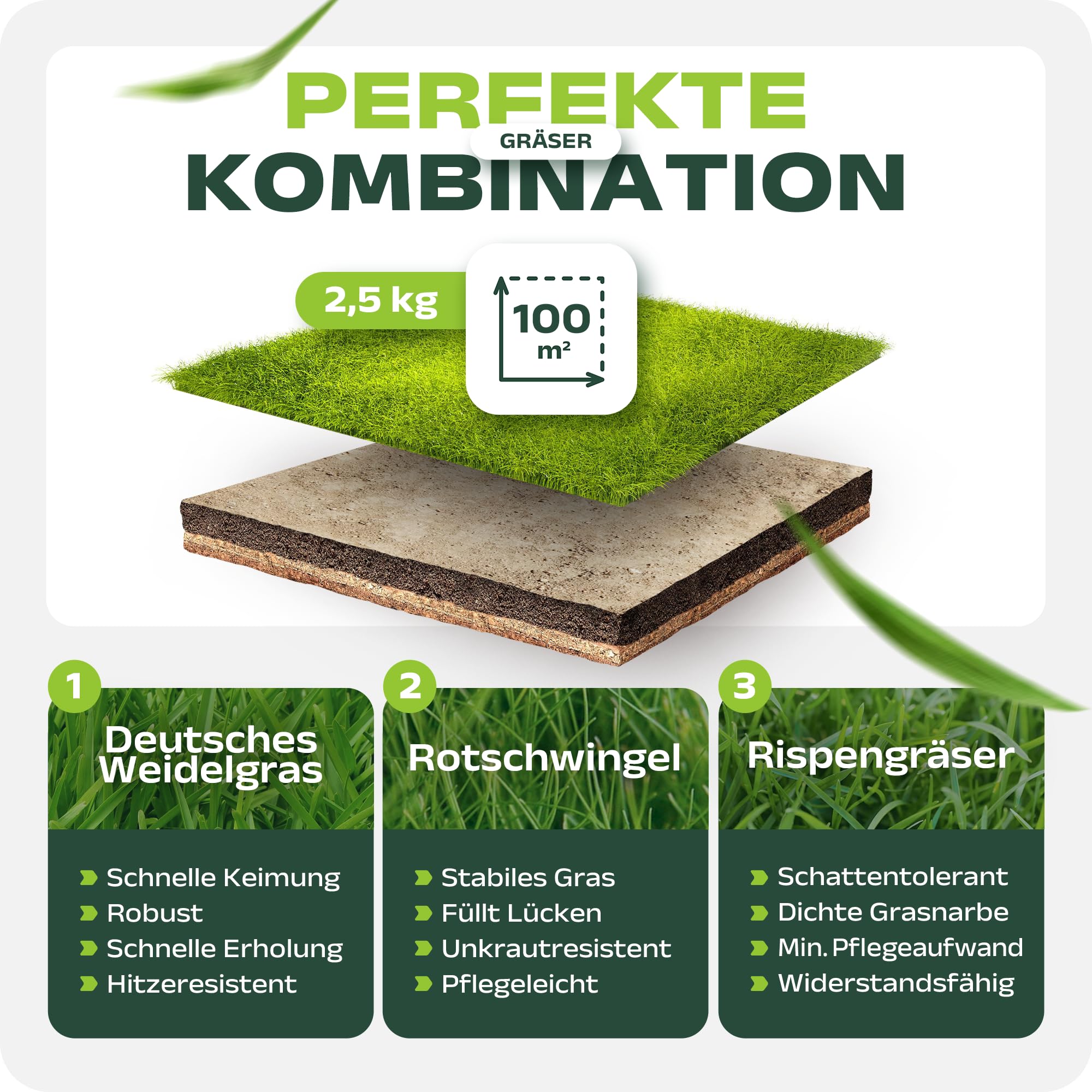 Schattenrasen Samen 2,5kg – für 100m² hochwertige Rasensamen & Grassamen schnellkeimend Sommer für Rasen Nachsaat & dichte Rasensaat | SEHR GUT getestet inkl. Anleitung