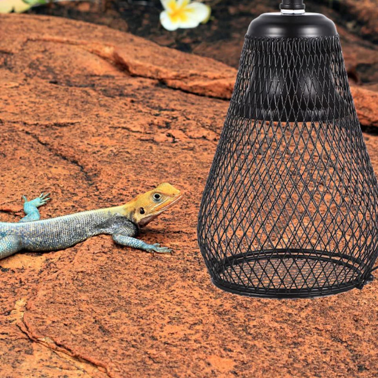 Amazon | 爬虫類 ライトドーム 爬虫類紫-外-線ライトカバー ランプ