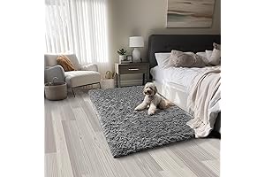 Ophanie: Enrich Dorm Spaces with Style & Comfort