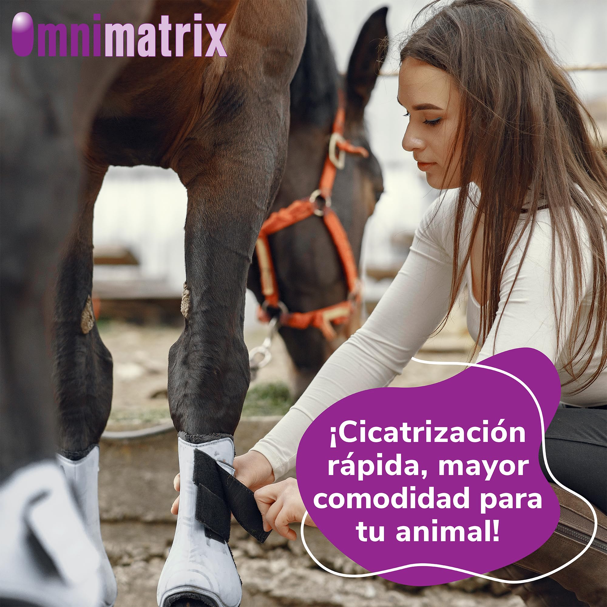 Omnimatrix Hifarmax - Crema Cicatrizante para Perros, Gatos y Caballos | Antiinflamatorios para Perros y Otras Mascotas, Ideal para la Cicatrización de Heridas | Tubo de 250ml