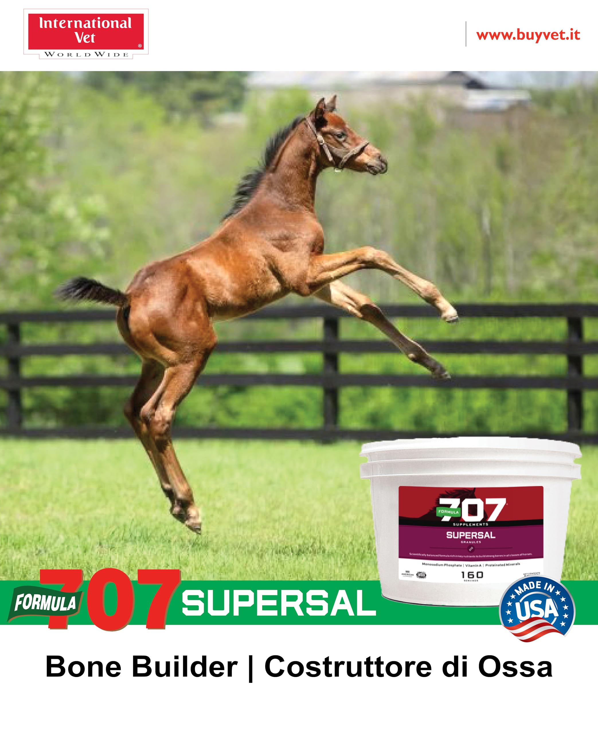 Supersal - Formula 707, John Ewing Co. USA: Integratore per ossa e articolazioni dei puledri