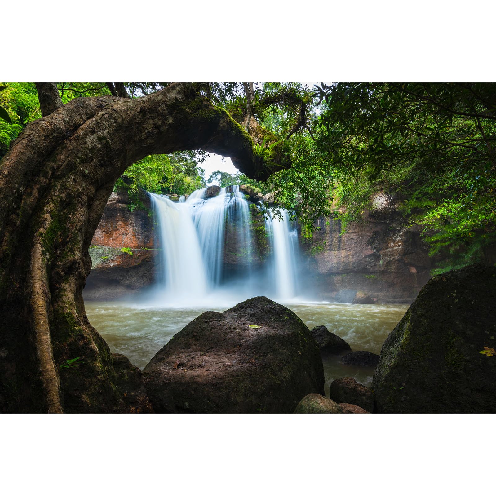 Waterfall Aquarium Background Jungle Forest Lake Stream Natural Landscape Fish Tank Background Tropical Plants Huge Rock Terrarium Backgrounds Jungle Old Trees Falls Reptile Tank Backgrounds 72x24in