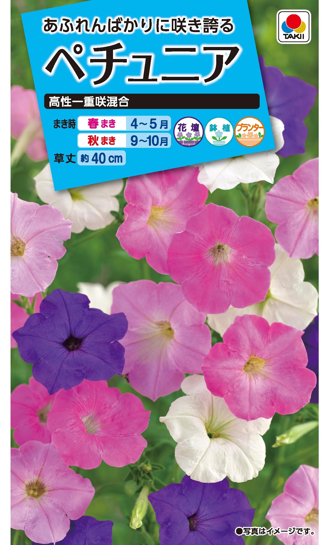 イチナナ台湾ベイビー　(春) 激レア イチナナ台湾ベイビー (春) 激レア BABY福岡店 20th Anniversary