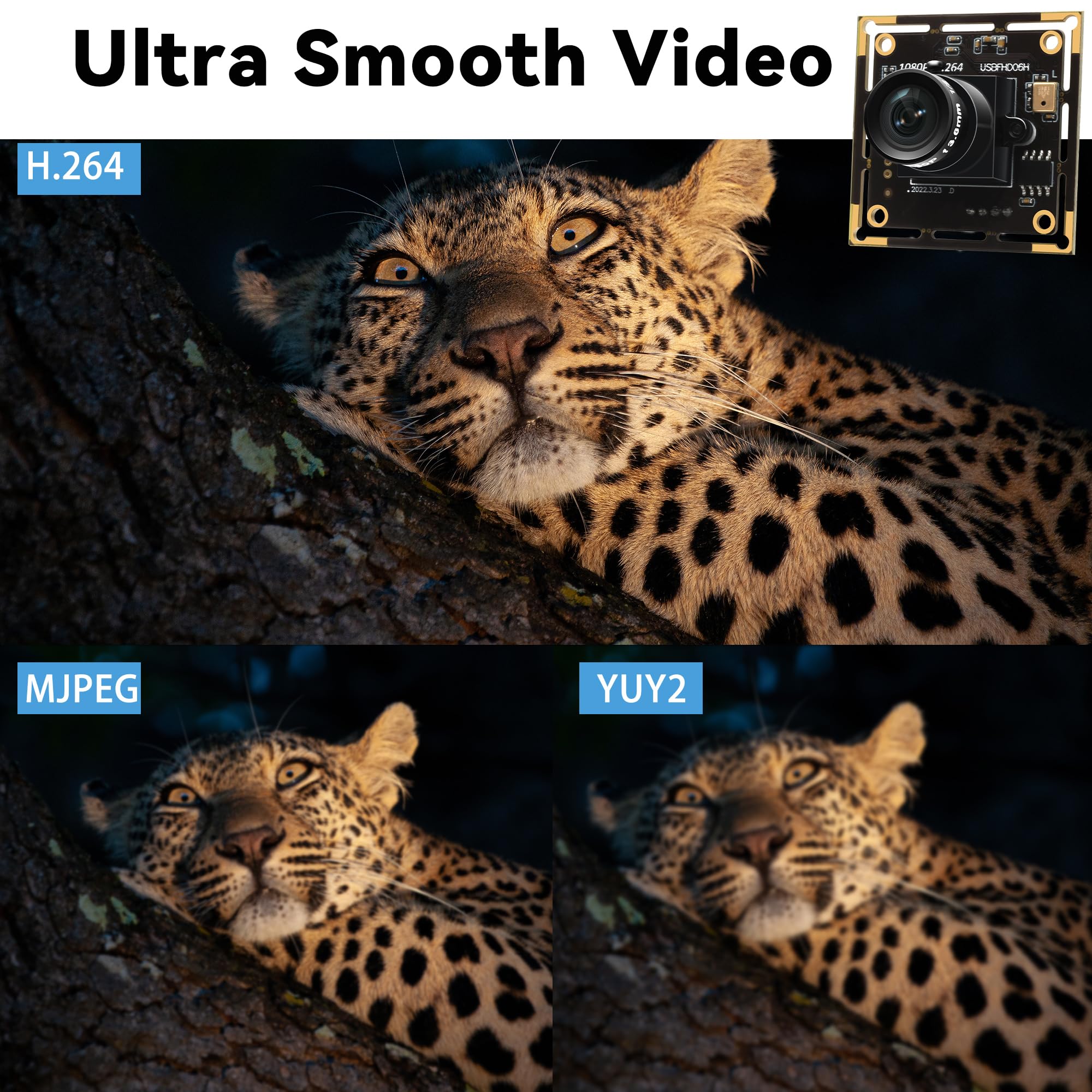 Modulo fotocamera USB 1080P per computer, 2 MP H.264 30 fps grandangolare mini UVC USB2.0 scheda webcam con microfono, fotocamera industriale incorporata Plug and Play per Windows, Linux, MacOS