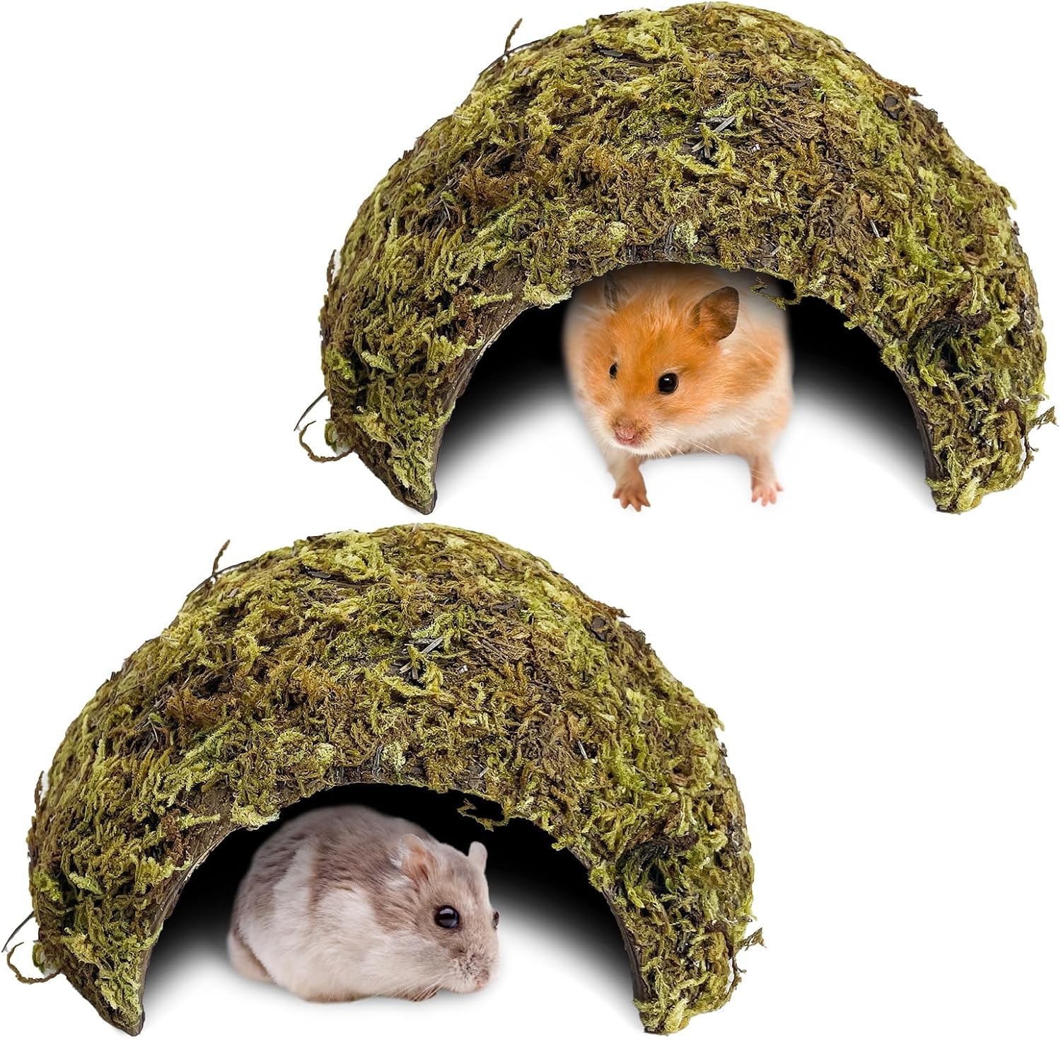 BNOSDM 2 Pcs Hamster Hideout Natural Mossy Cave Hamster Houses and Hideouts Moss Covered Coconut Enclosed Hiding Hut for Mice Habitat Hamster Cage Accessories for Dwarf Gerbil Syrian Fancy Mouse