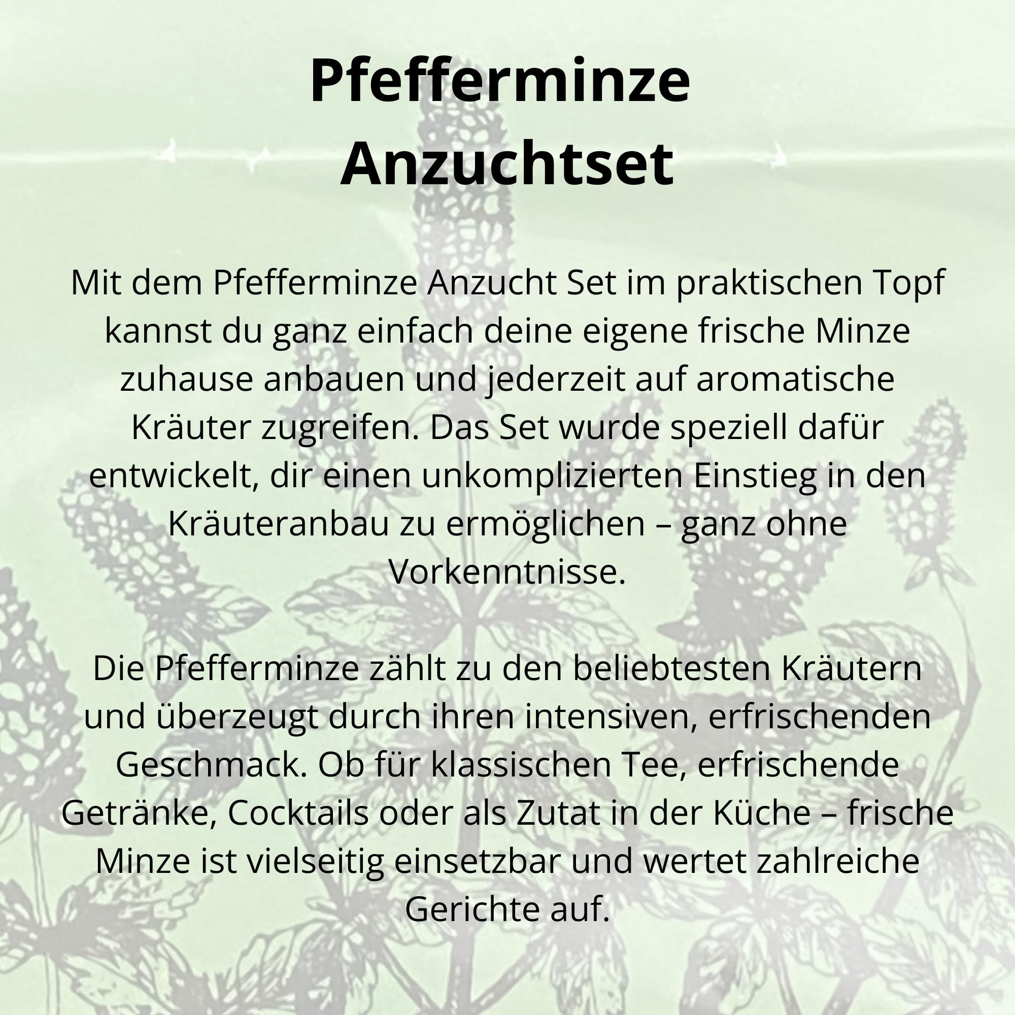 Kit de culture de menthe poivrée avec graines et terre pour rebord de fenêtre