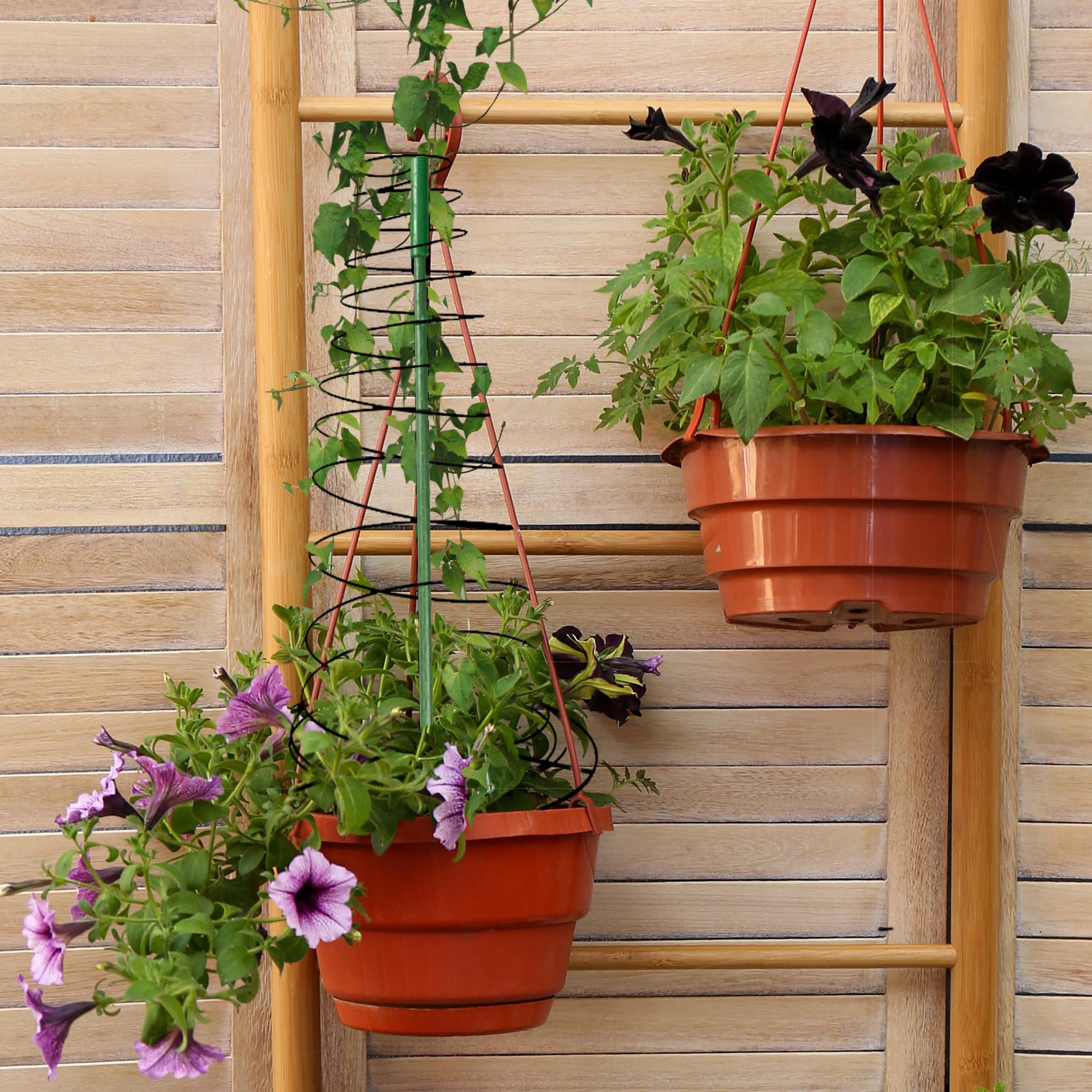 3er Set Spiral Pflanzen Rankhilfe Metall 53,6 Zoll Verstellbares Pflanzengestell Für Erbsen Bohnen Gurken Kletterpflanzen Gartenstütze Mit Erdspießen