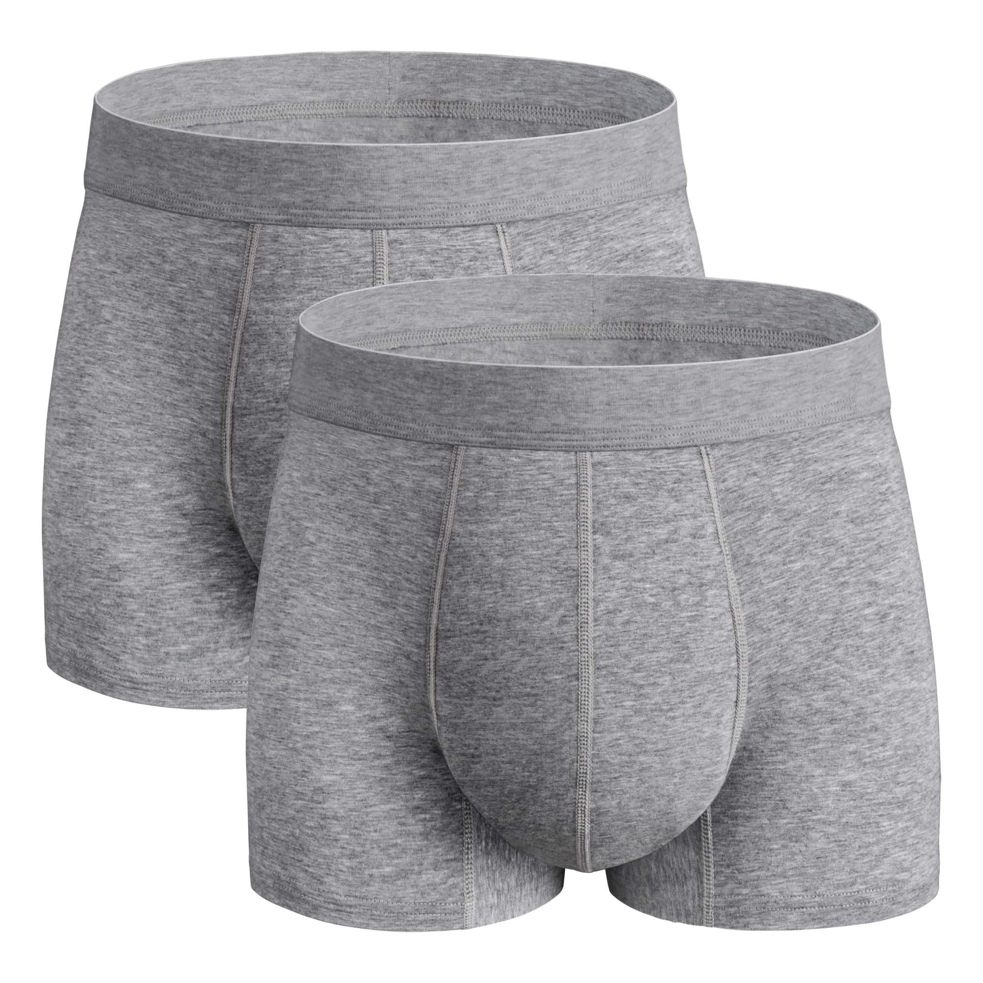 REELINDRY Washable Incontinence Underwear for Men, 2.3 oz Absorbent Leak Proof Odor Control Briefs with Covered Waistband (Gray, 3XL)