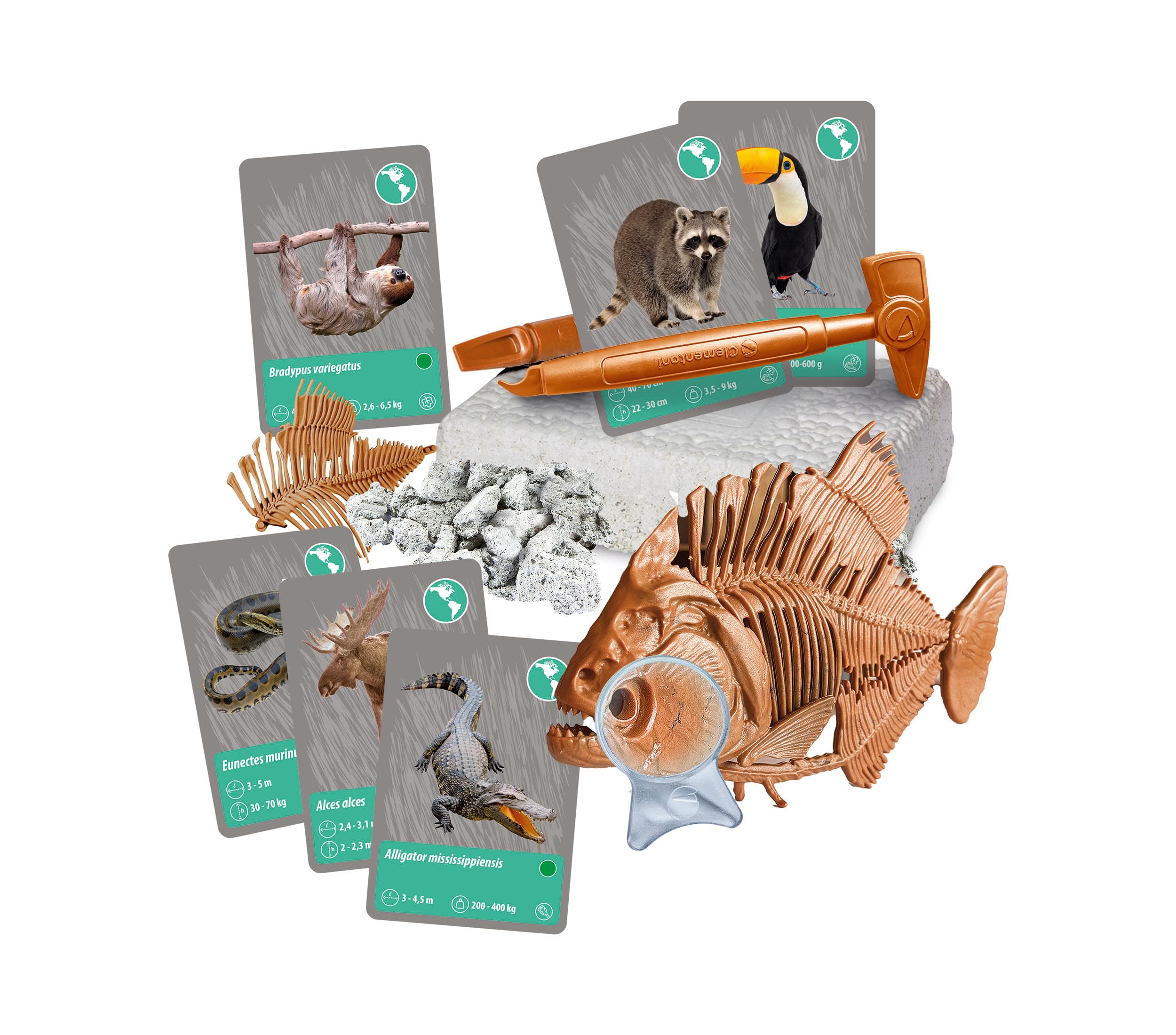 Clementoni - Coffret Scientifique : Les Animaux dès 8 Ans - Expérience à réaliser - Inclus Moules + Peinture + Figurines + 30 Cartes et Un Casque VR - Jeux Éducatif - Fabriqué en Italie